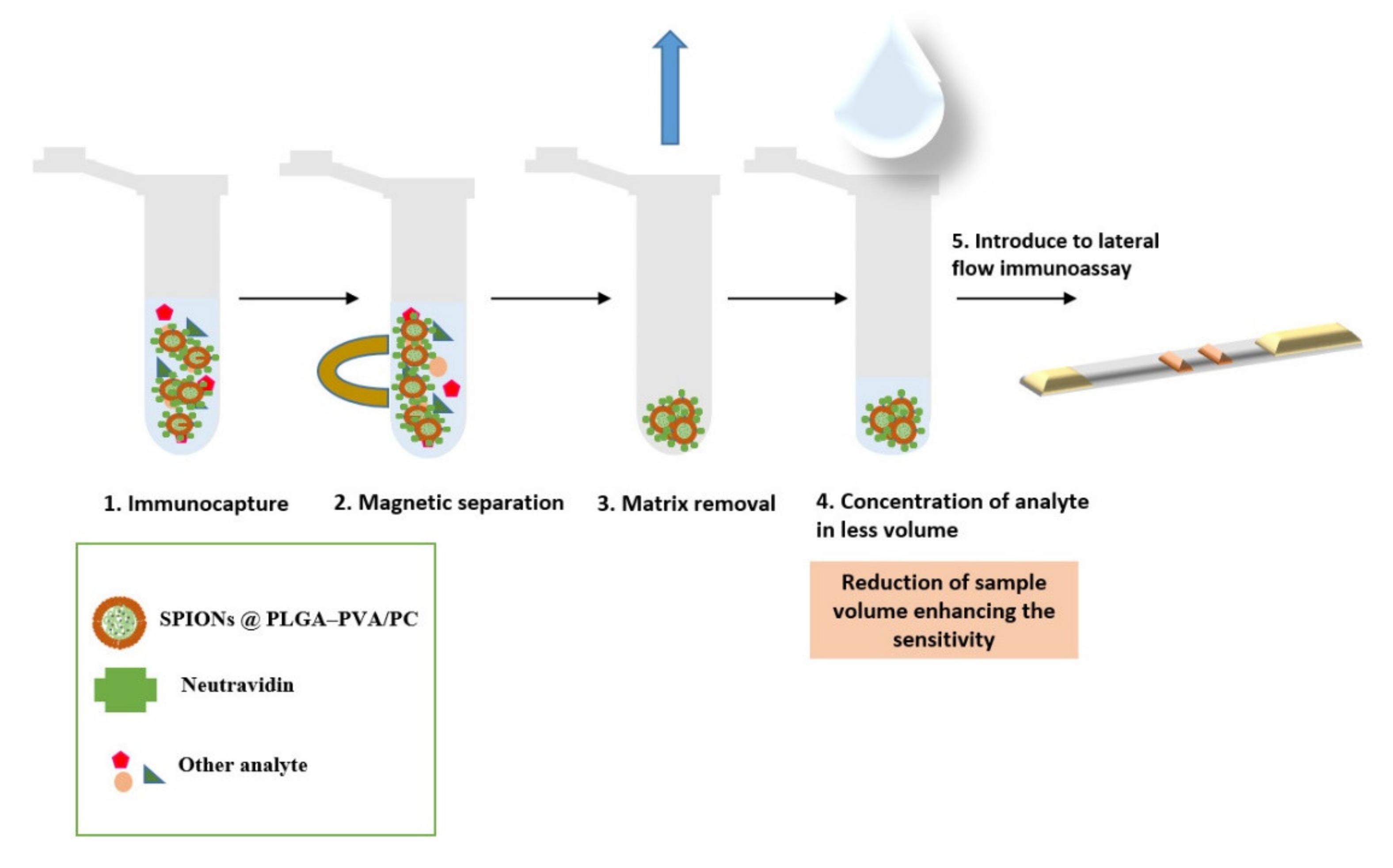 Biosensors 11 00218 g006