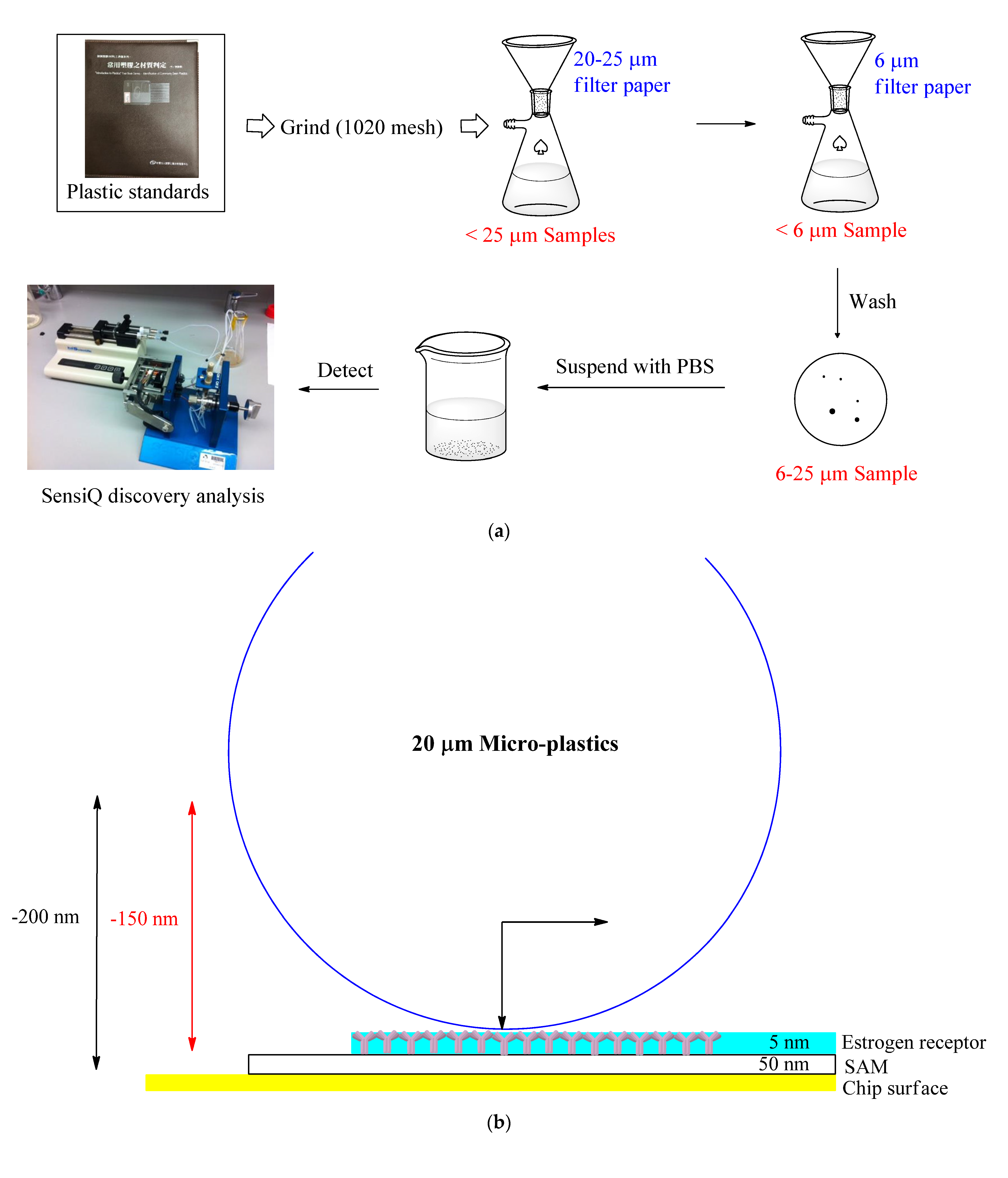 Biosensors 11 00219 g001