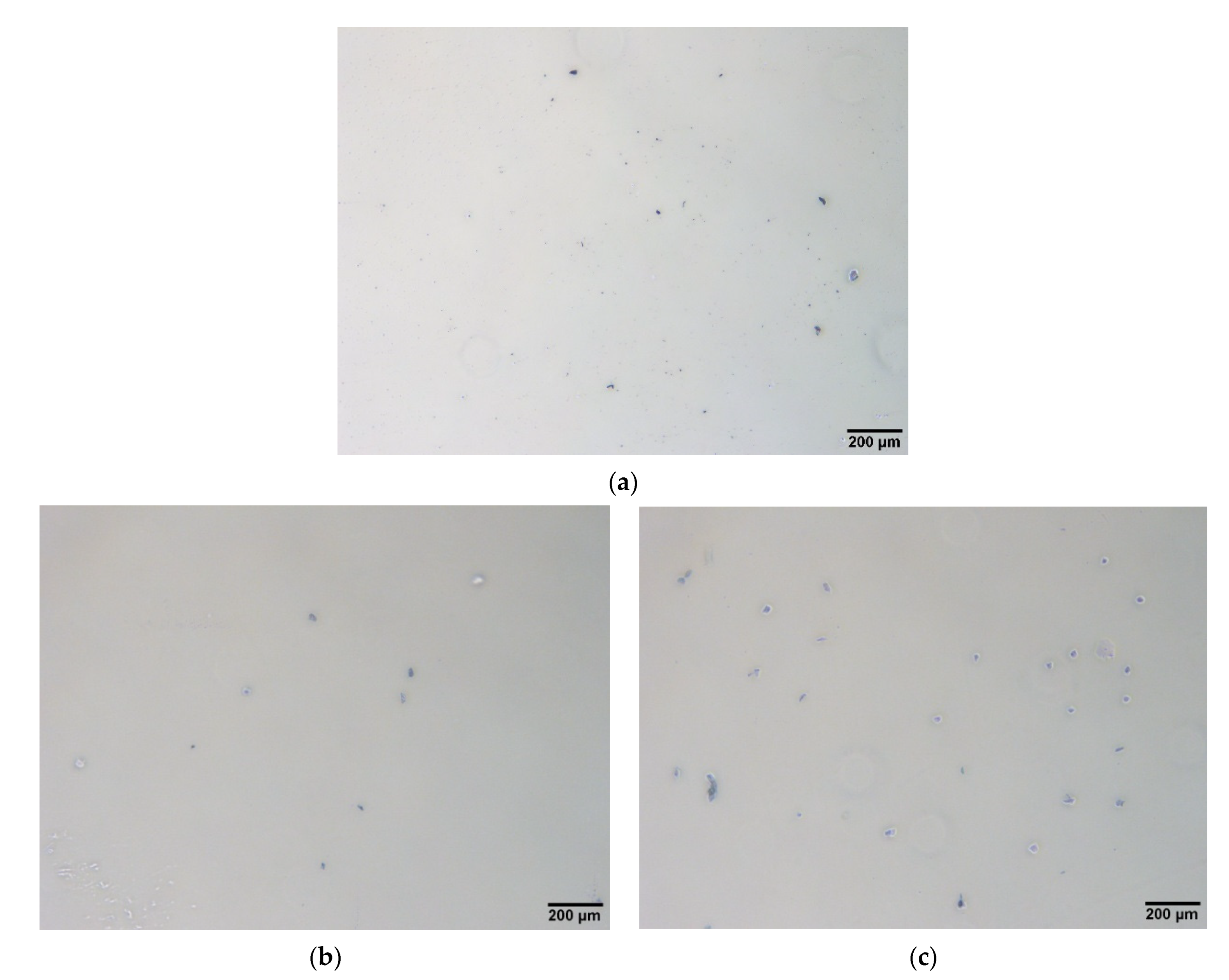 Biosensors 11 00219 g002