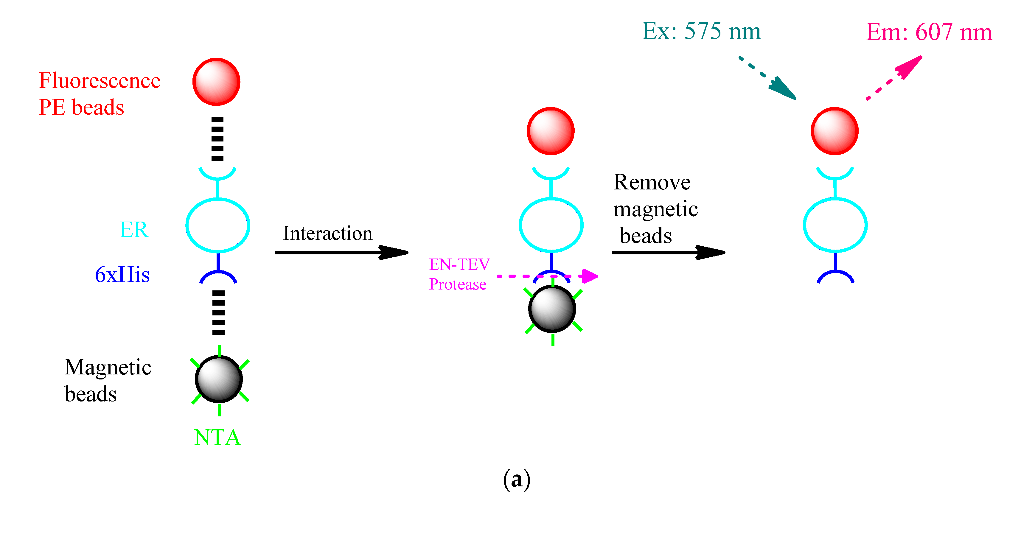 Biosensors 11 00219 g007a