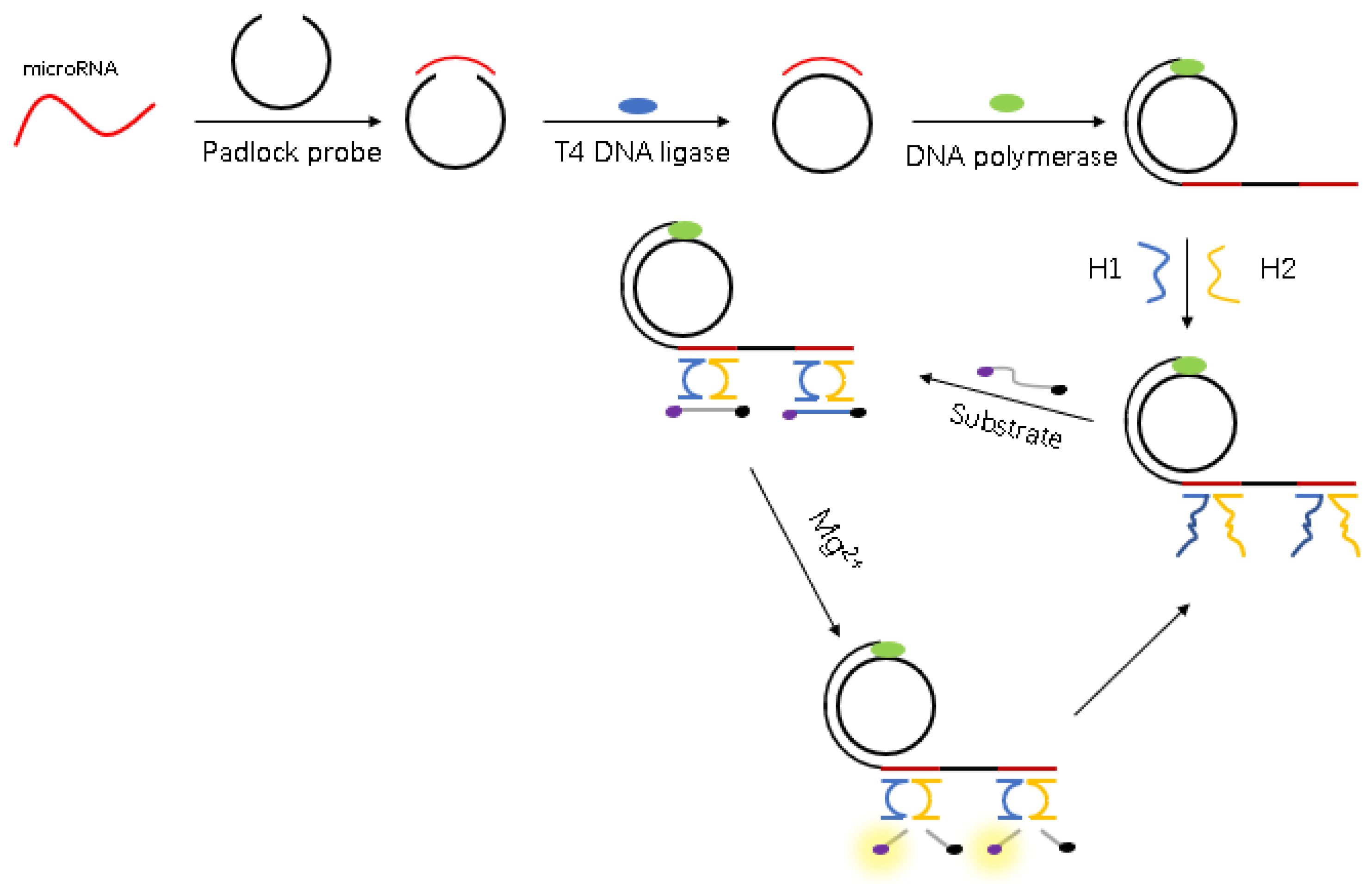 Biosensors 11 00222 g001