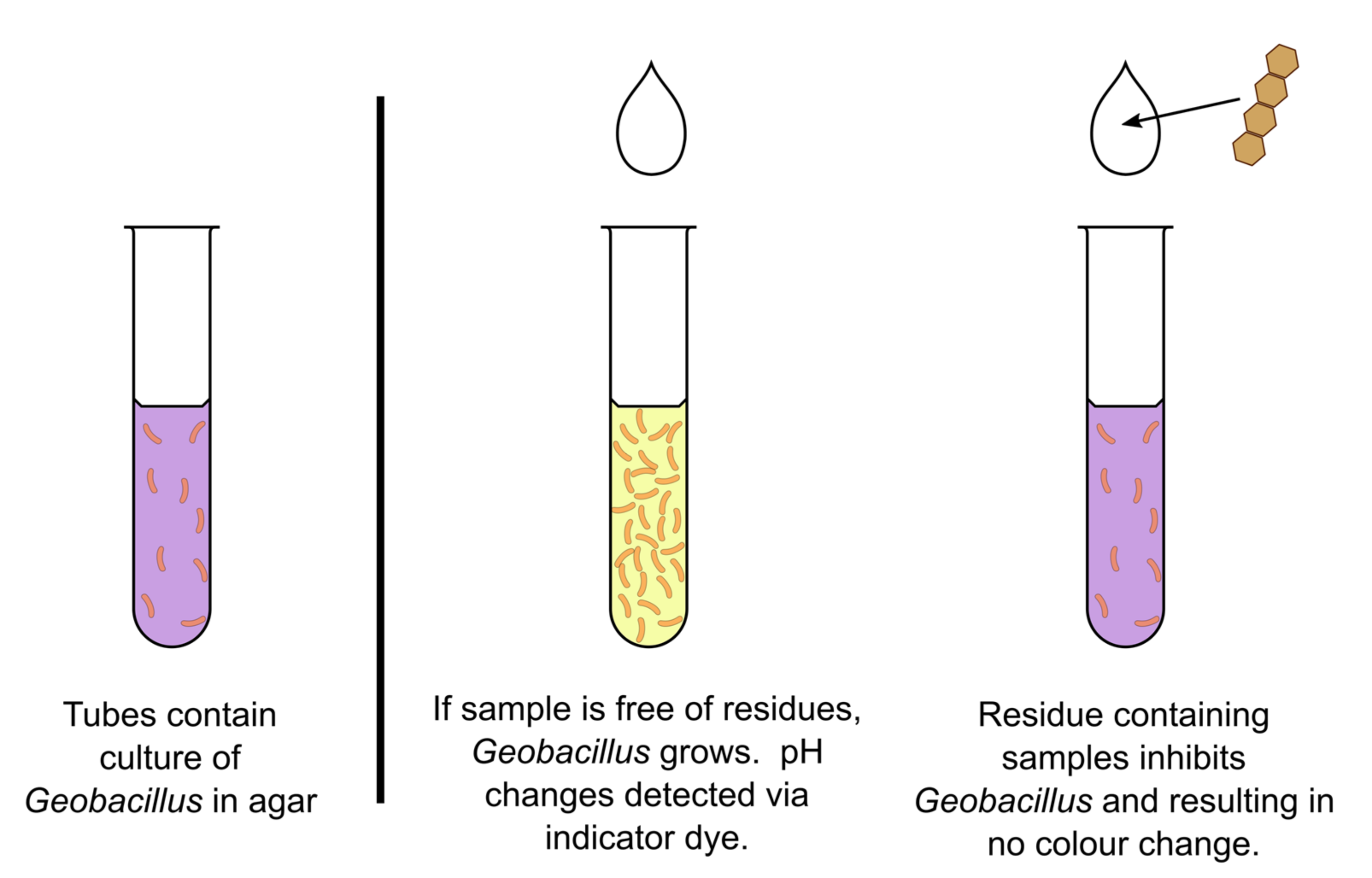 Biosensors 11 00232 g005