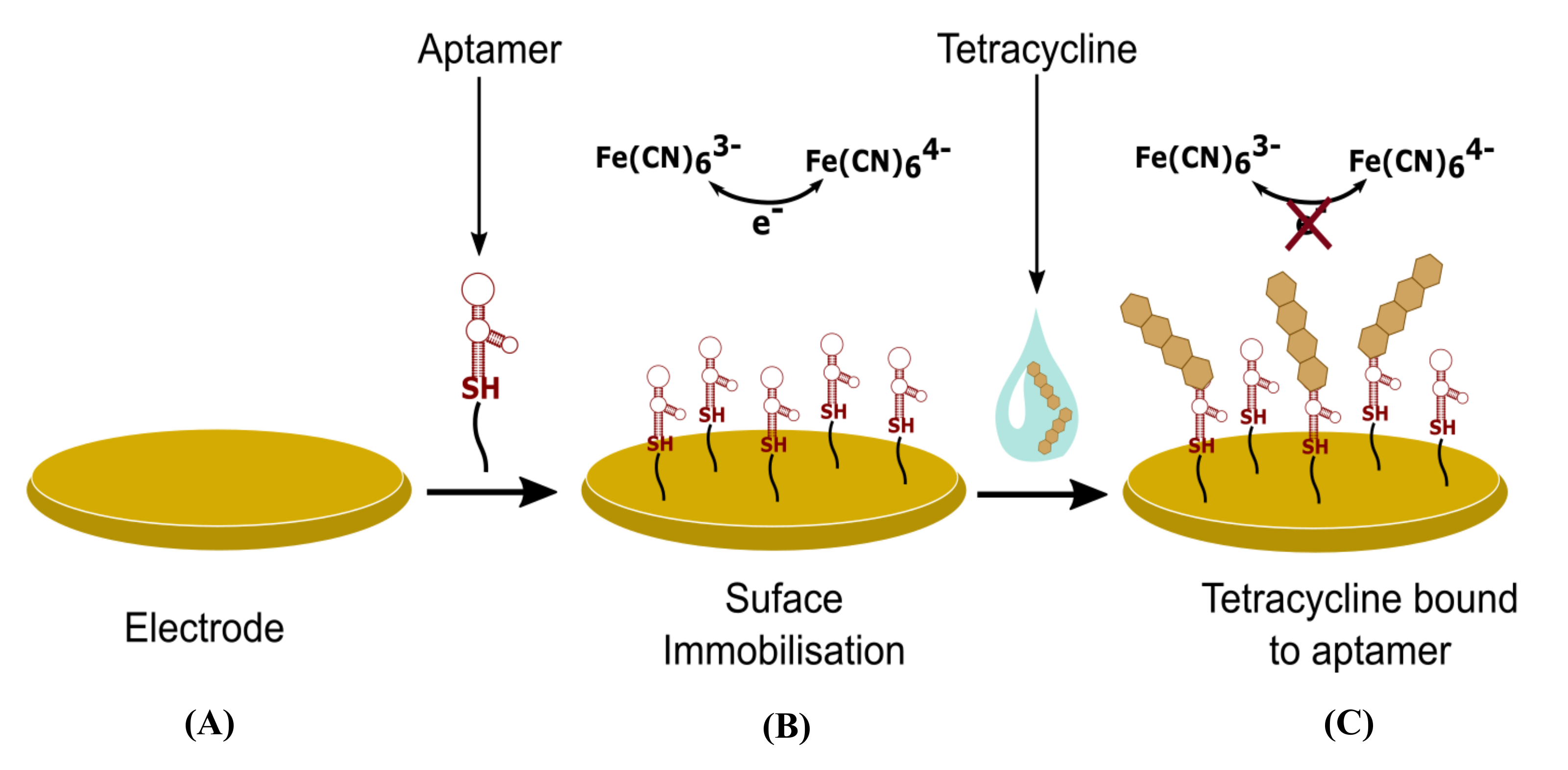 Biosensors 11 00232 g009