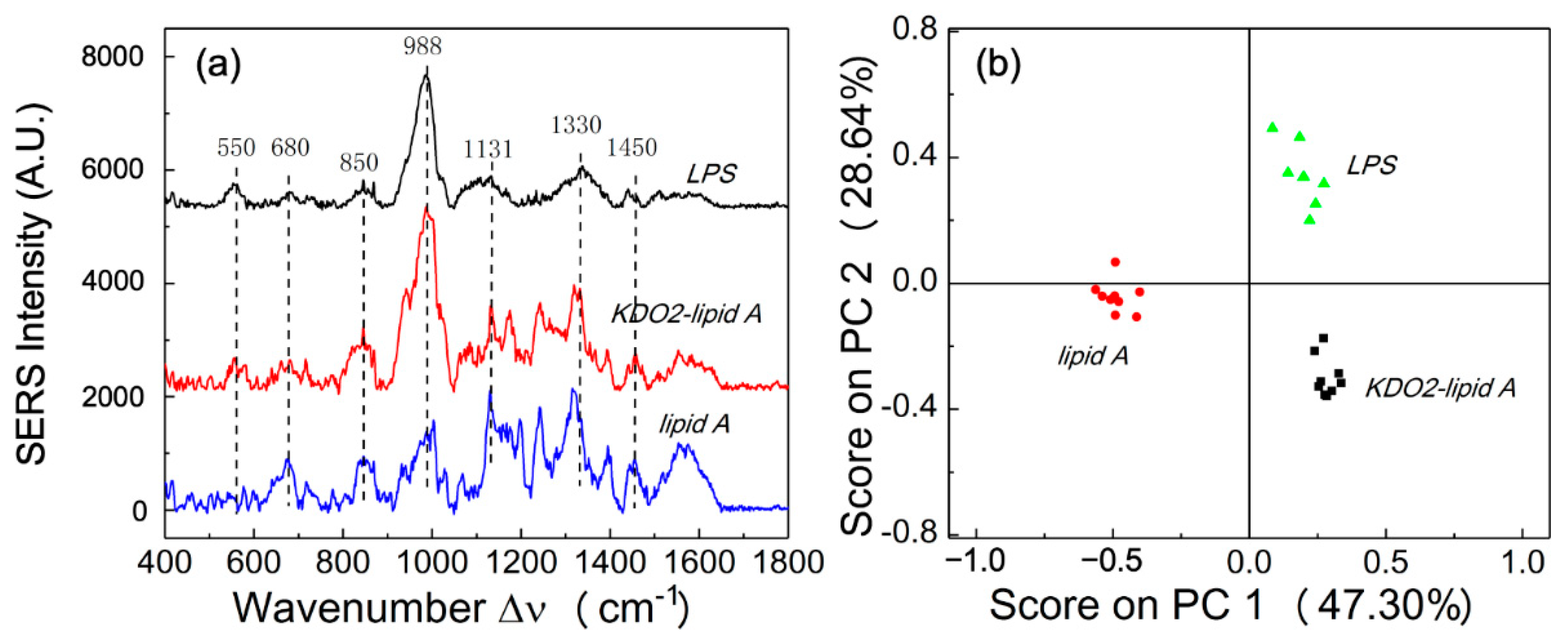 Biosensors 11 00234 g001 Biosensors 11 00234 g001