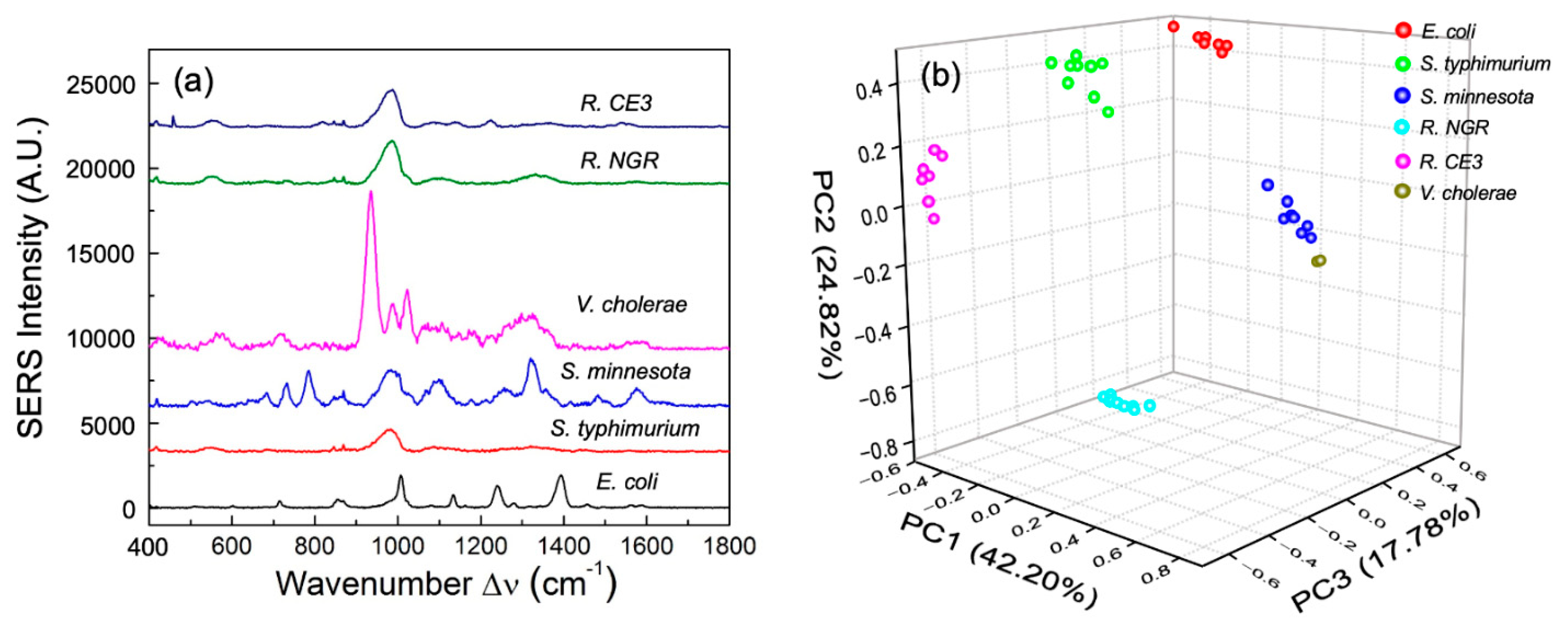 Biosensors 11 00234 g002 Biosensors 11 00234 g002
