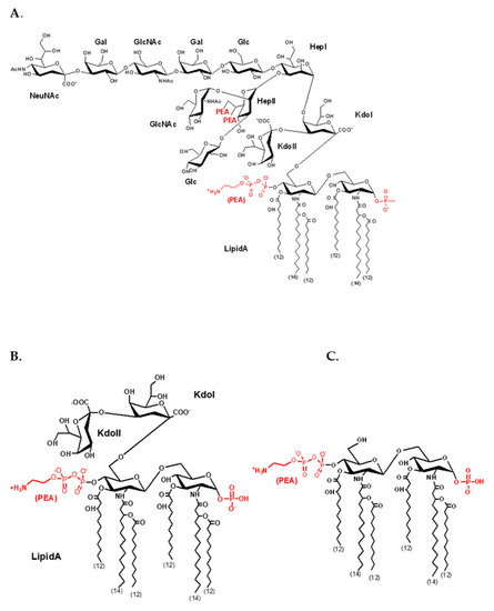 Biosensors 11 00234 g0a1