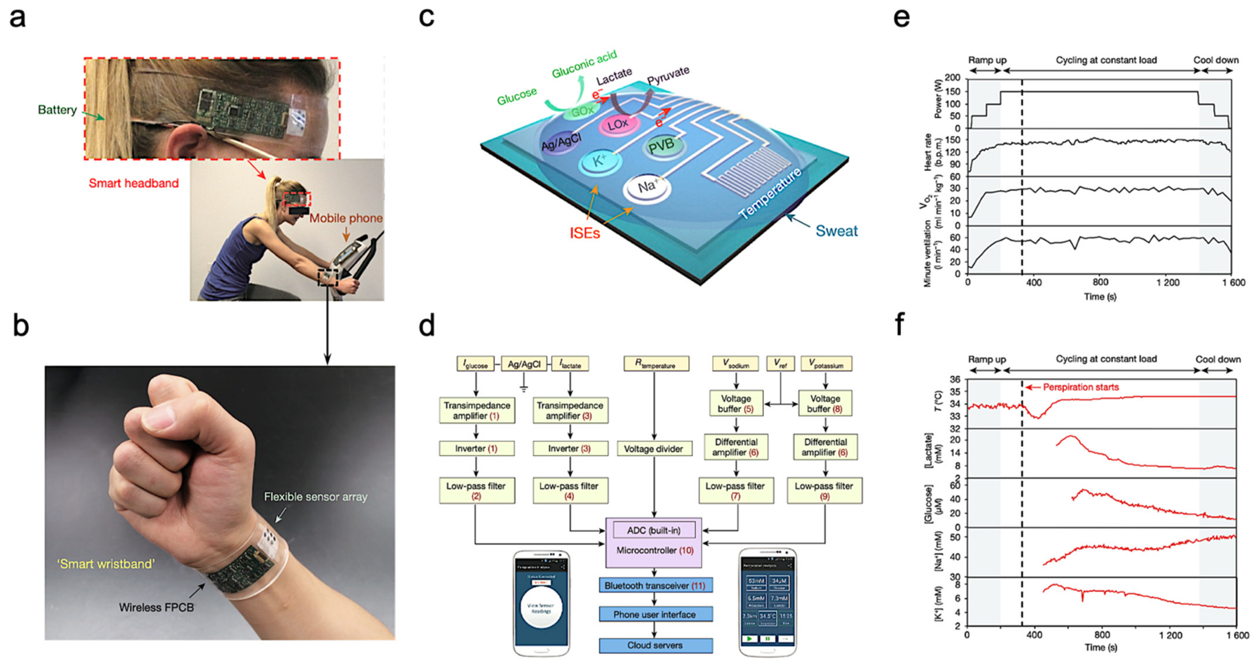 Biosensors 11 00245 g005