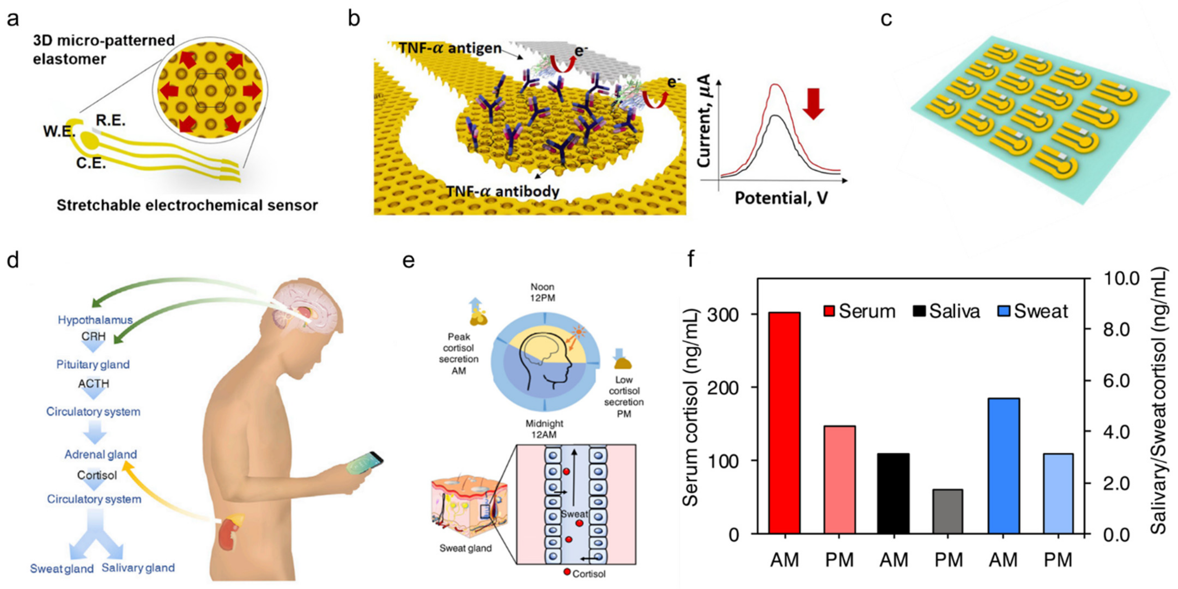 Biosensors 11 00245 g008