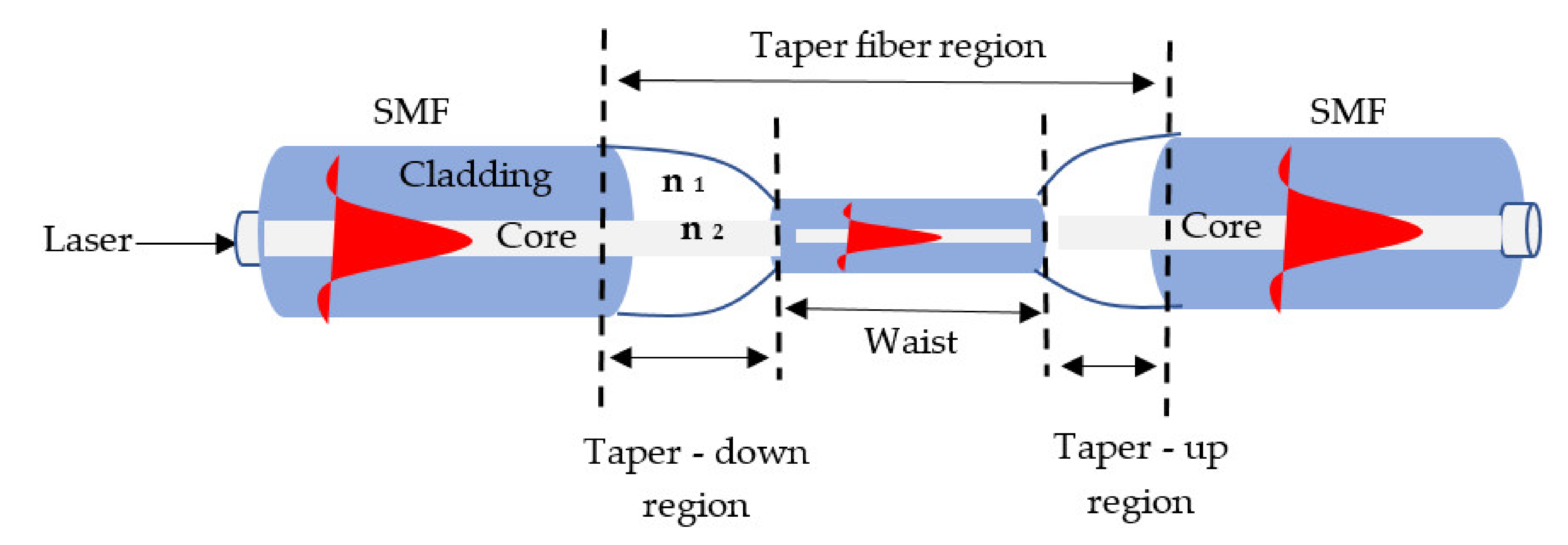 Biosensors 11 00253 g001