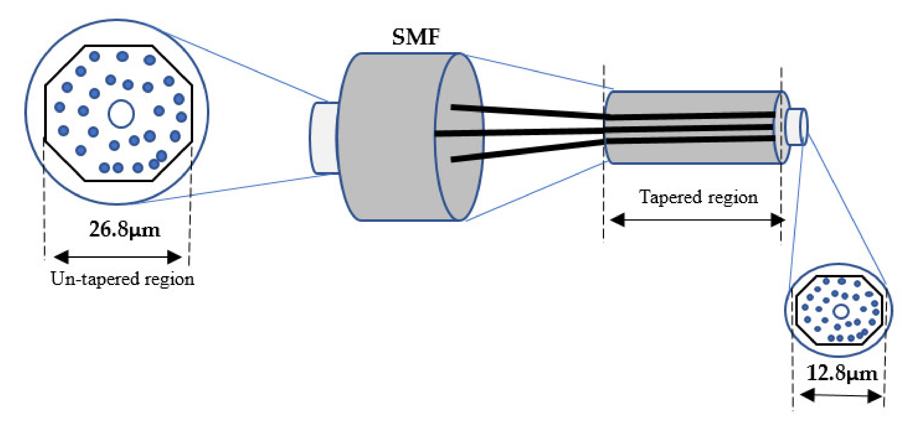 Biosensors 11 00253 g006