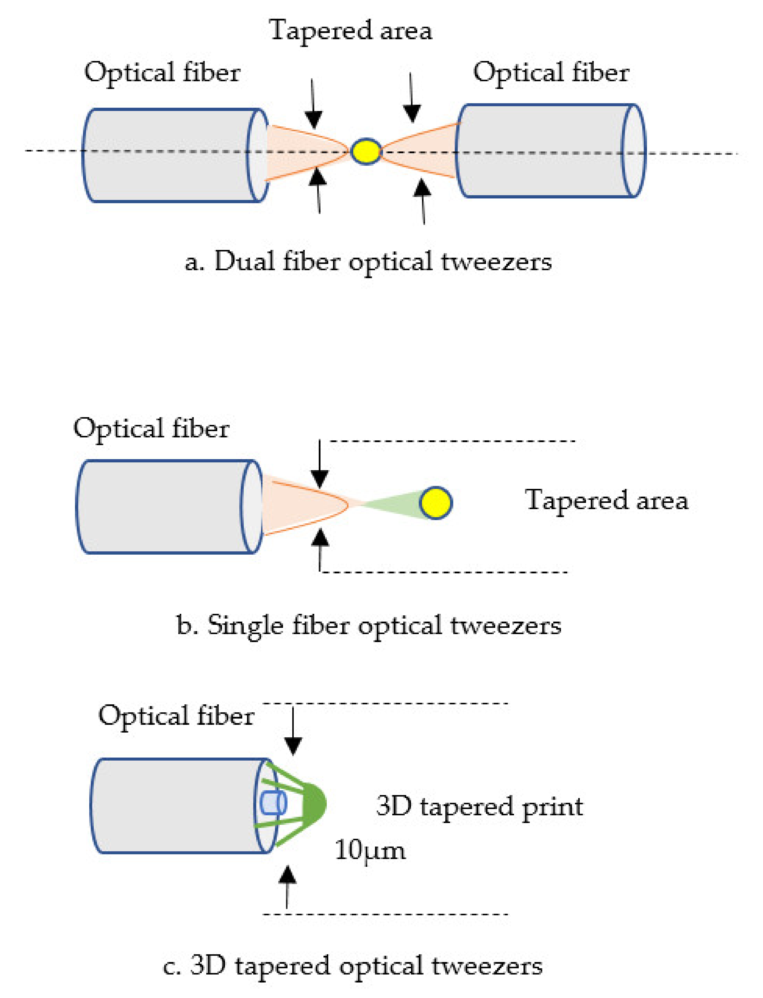 Biosensors 11 00253 g010