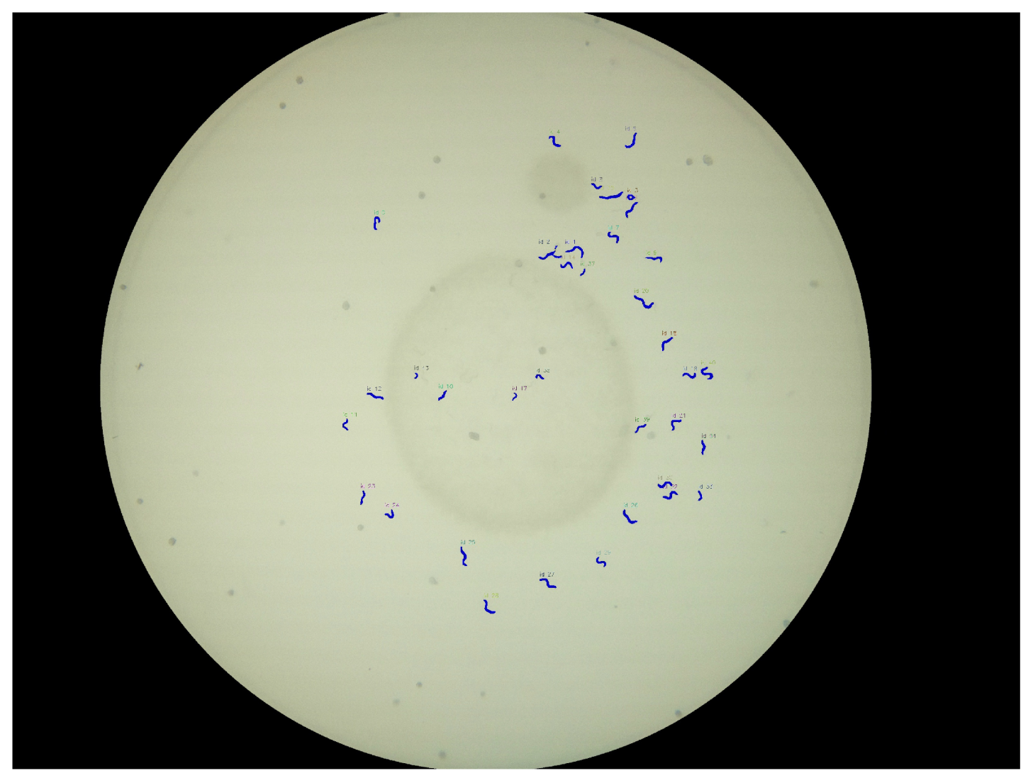 Biosensors 11 00257 g008