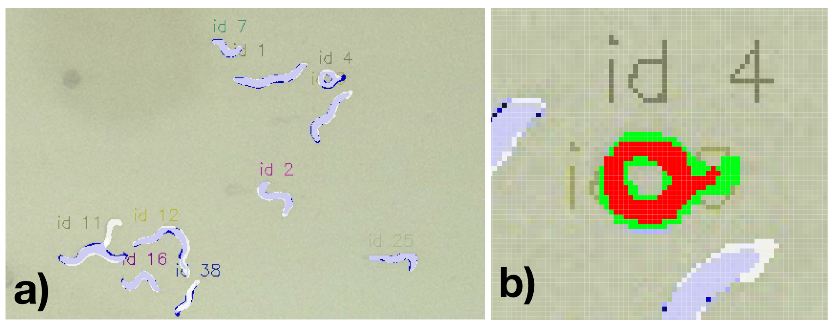 Biosensors 11 00257 g009