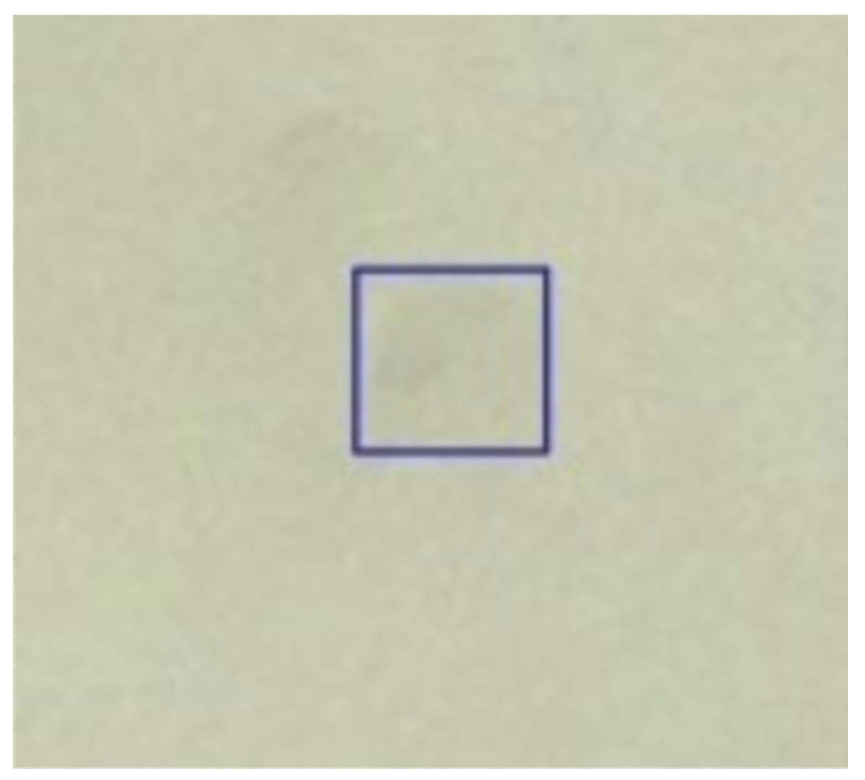 Biosensors 11 00257 g011