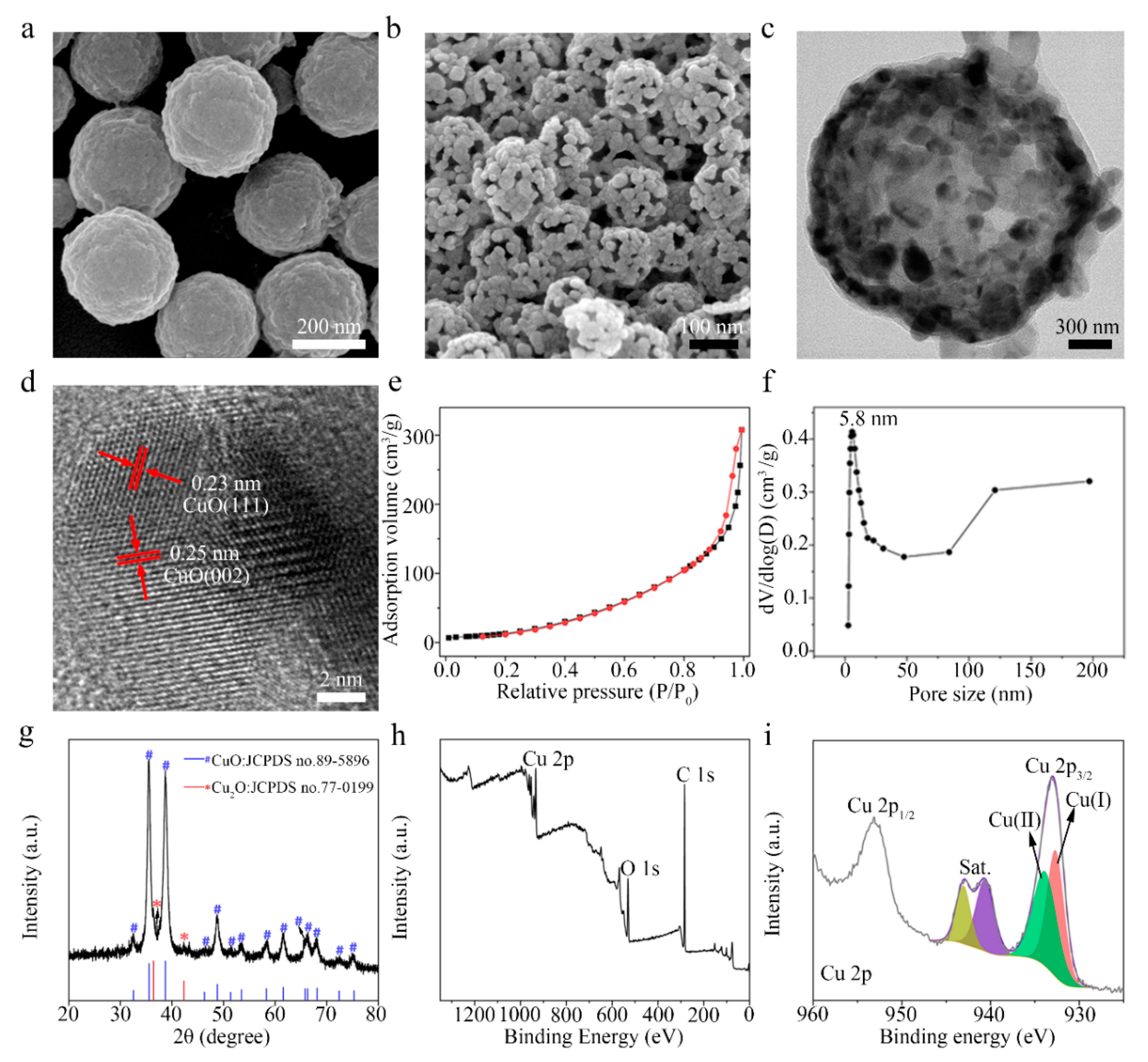 Biosensors 11 00258 g001