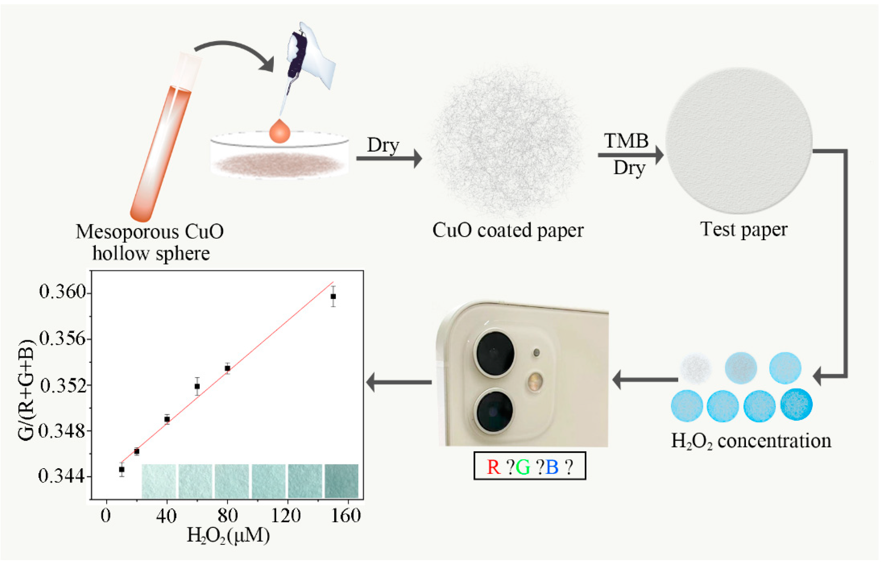 Biosensors 11 00258 g004