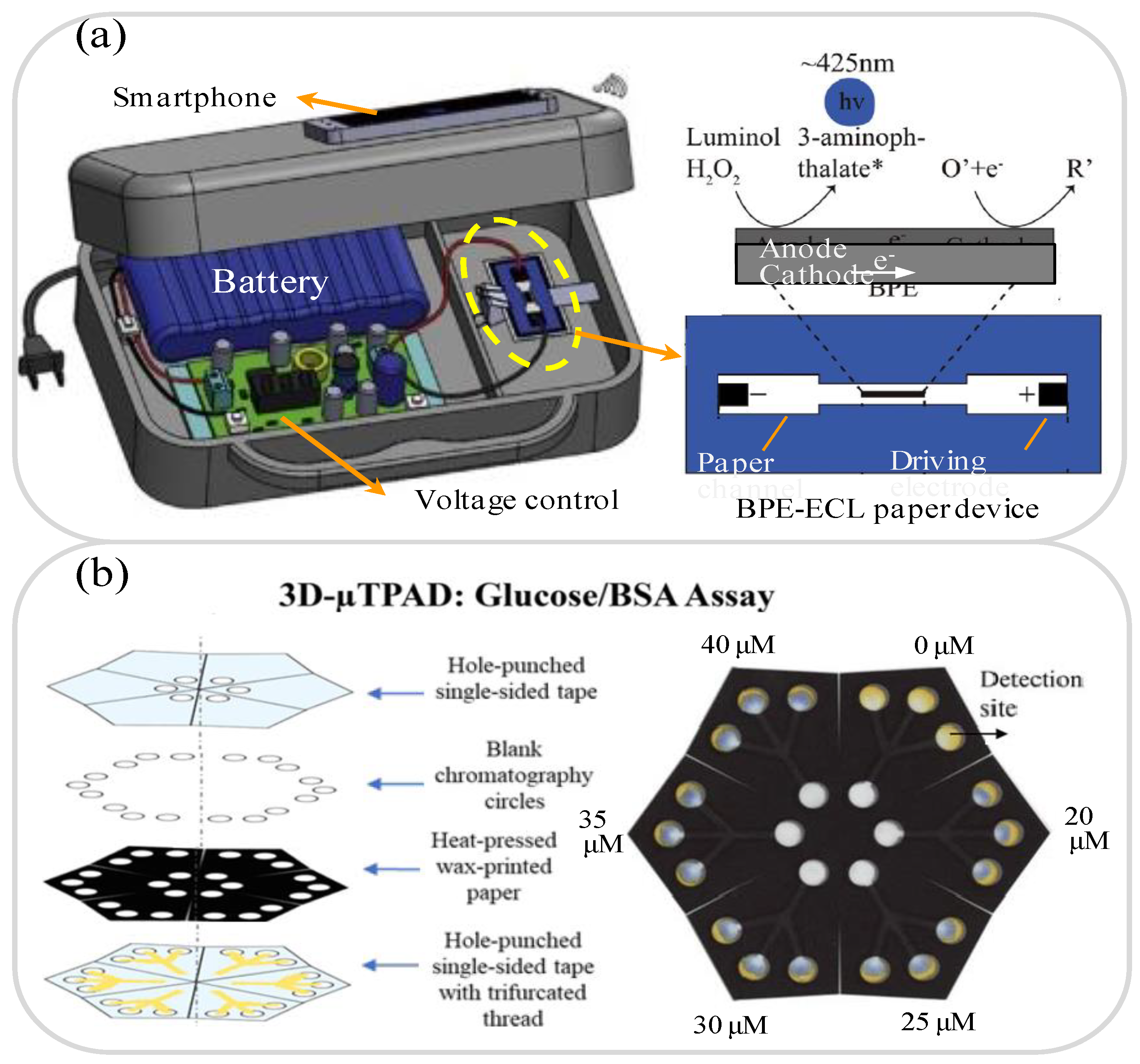 Biosensors 11 00260 g002