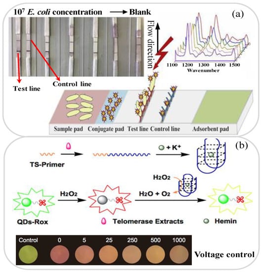 Biosensors 11 00260 g004 550