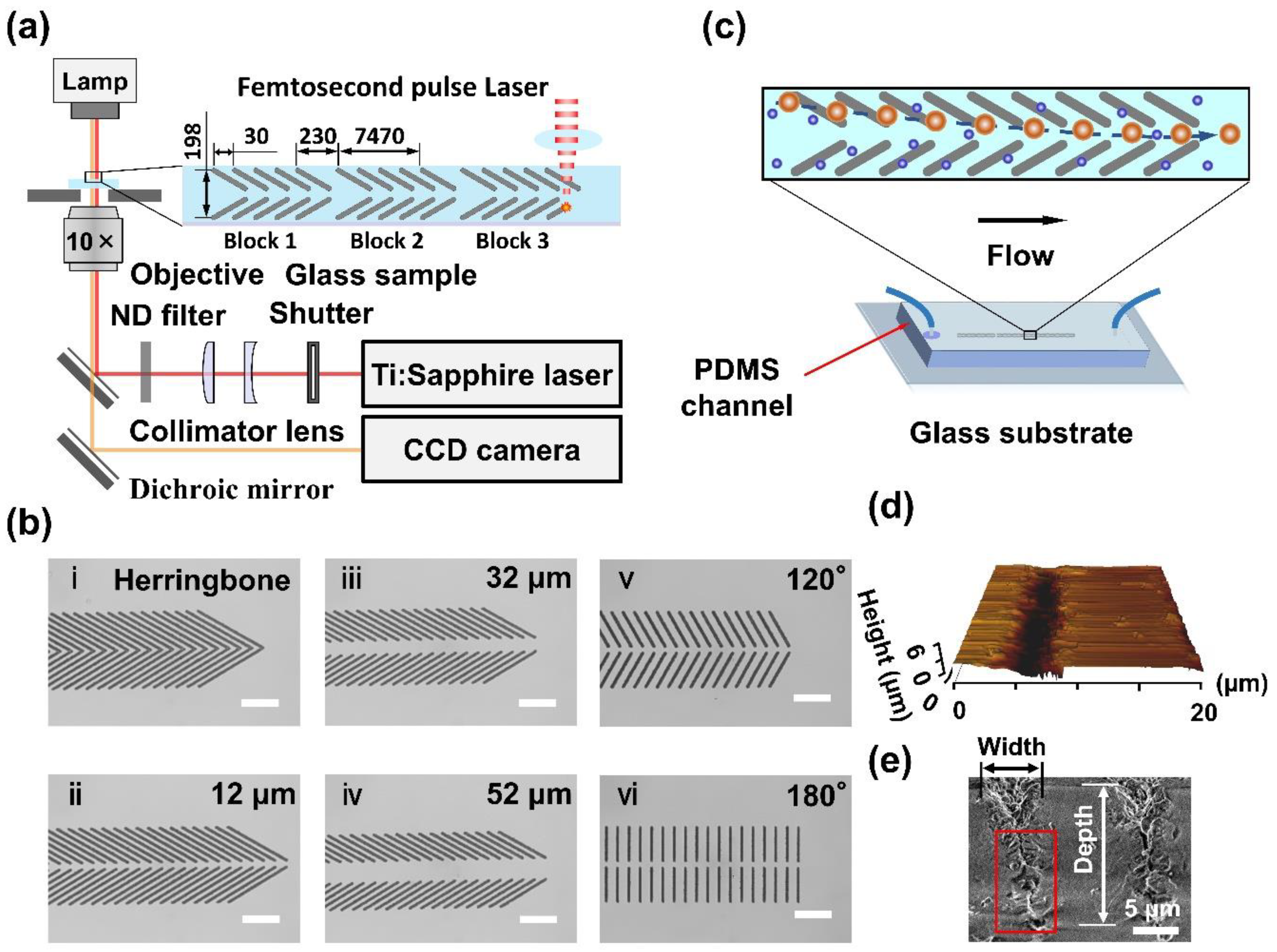 Biosensors 11 00263 g001