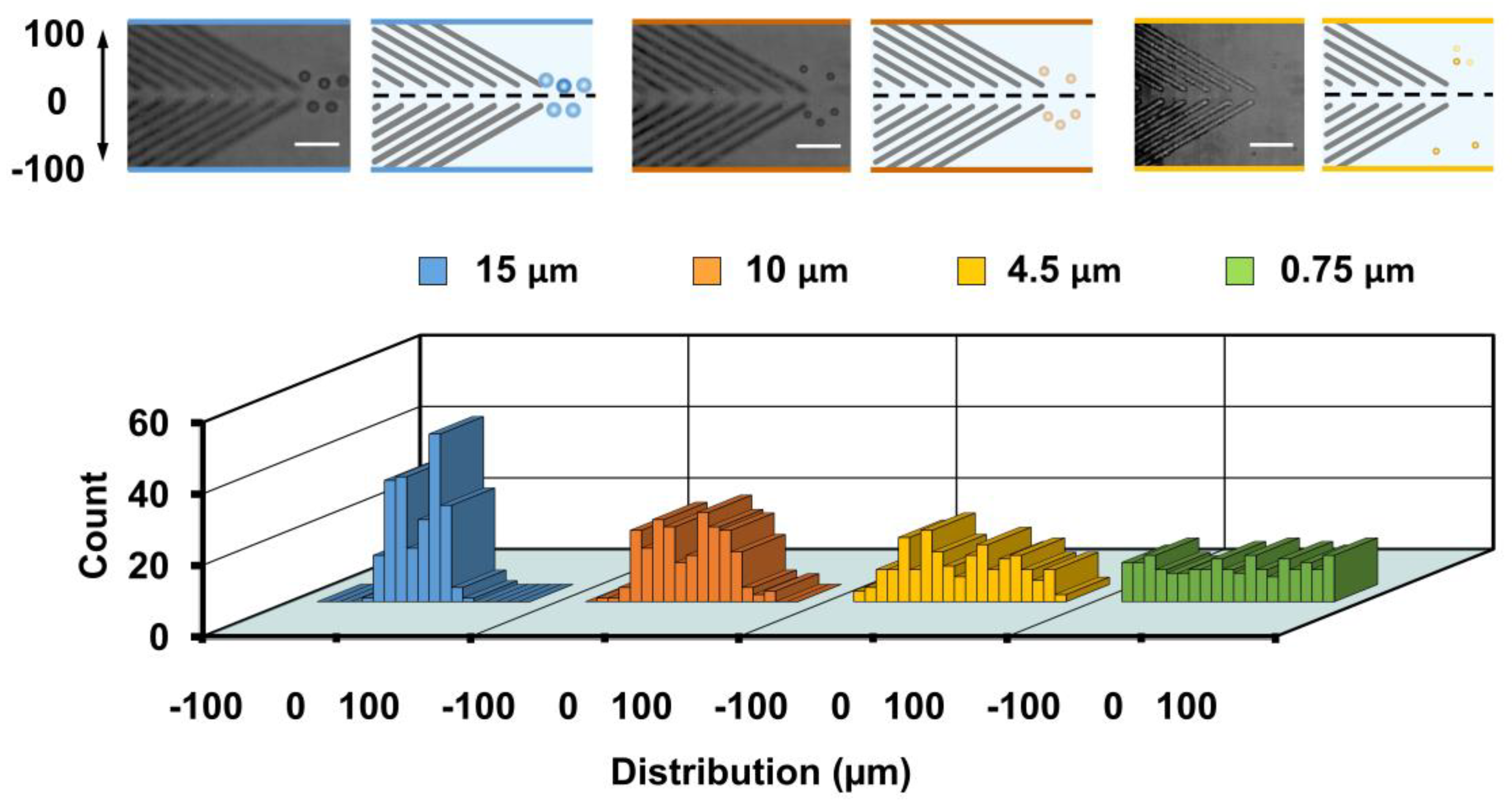 Biosensors 11 00263 g006