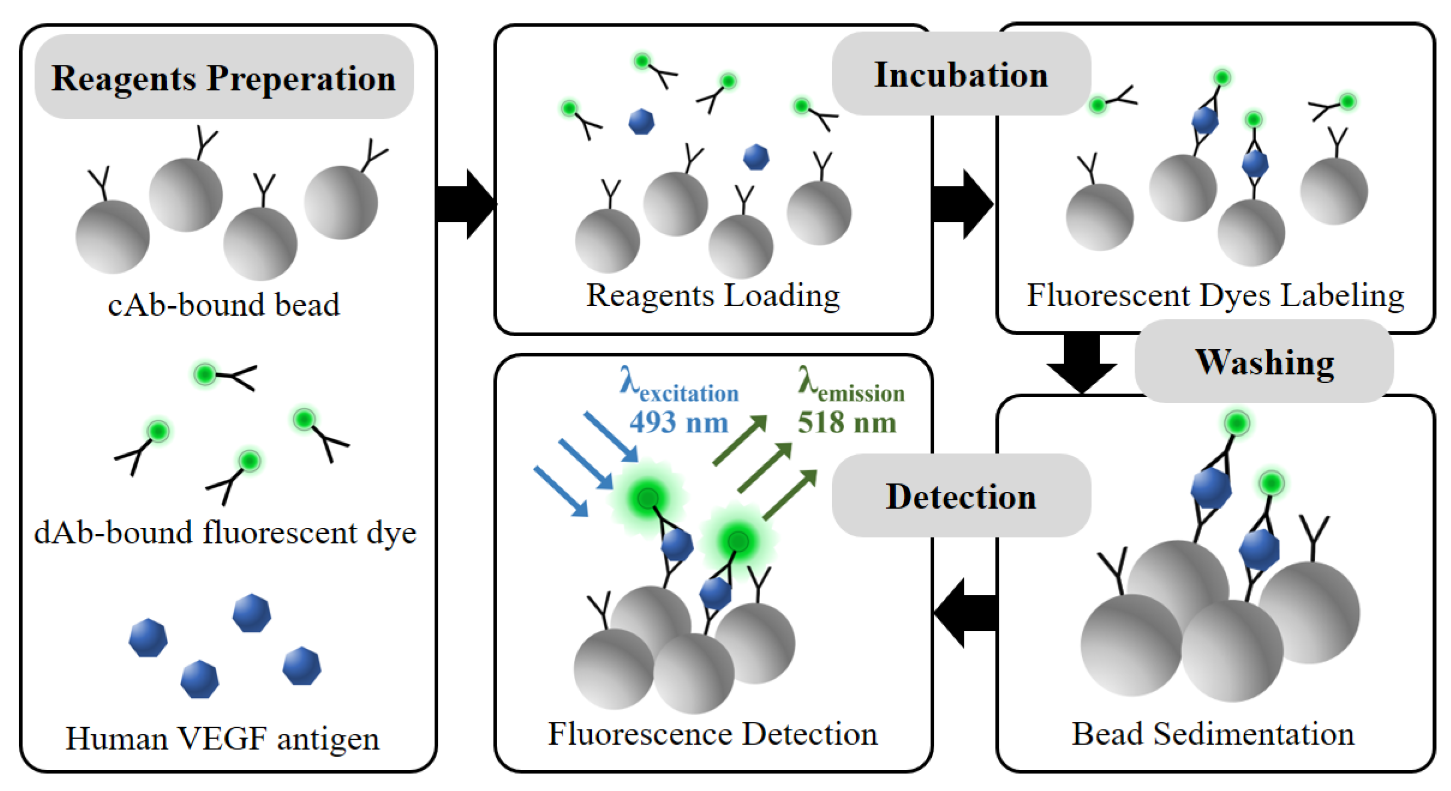 Biosensors 11 00270 g002