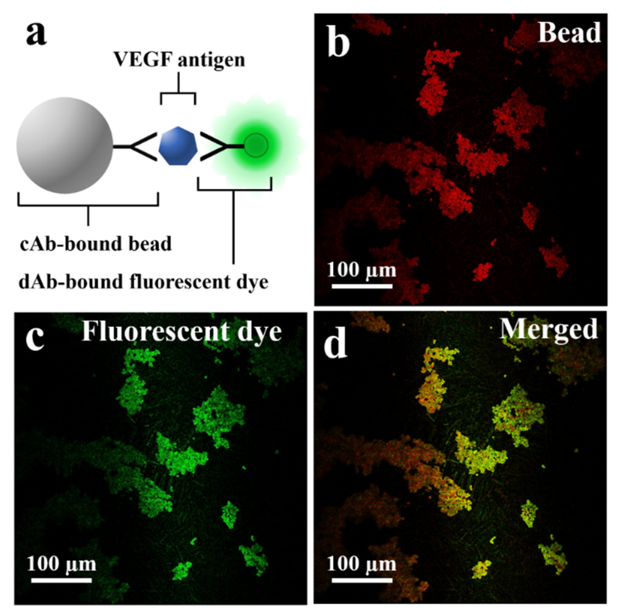 Biosensors 11 00270 g003