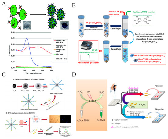 Biosensors 11 00281 g005 Biosensors 11 00281 g005