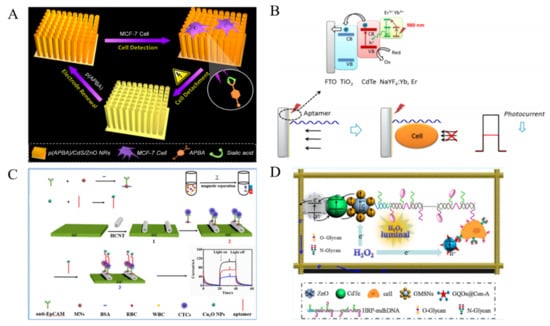 Biosensors 11 00281 g017 Biosensors 11 00281 g017