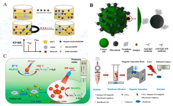Biosensors 11 00281 g018 Biosensors 11 00281 g018