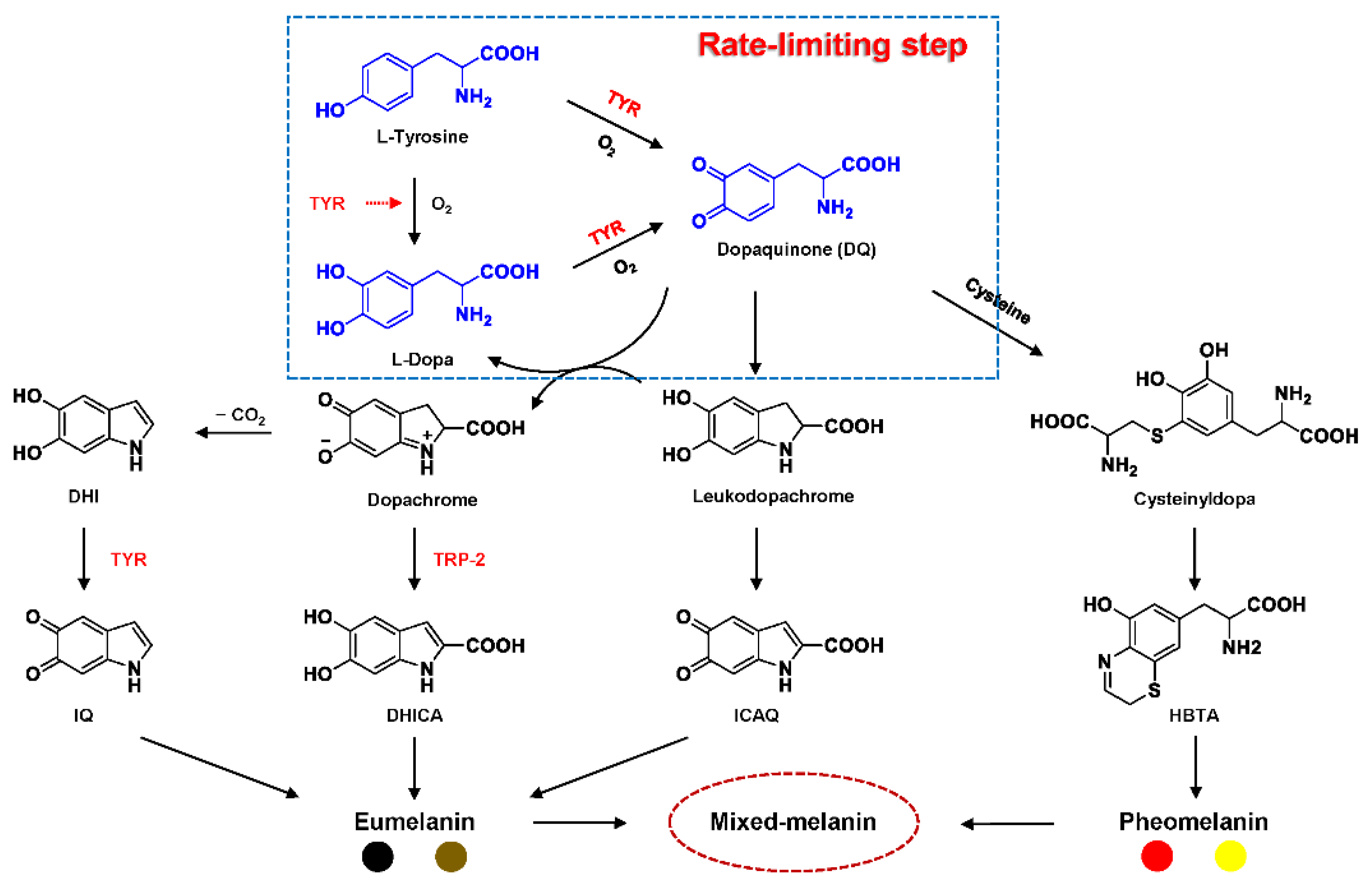 Biosensors 11 00290 g002 Biosensors 11 00290 g002