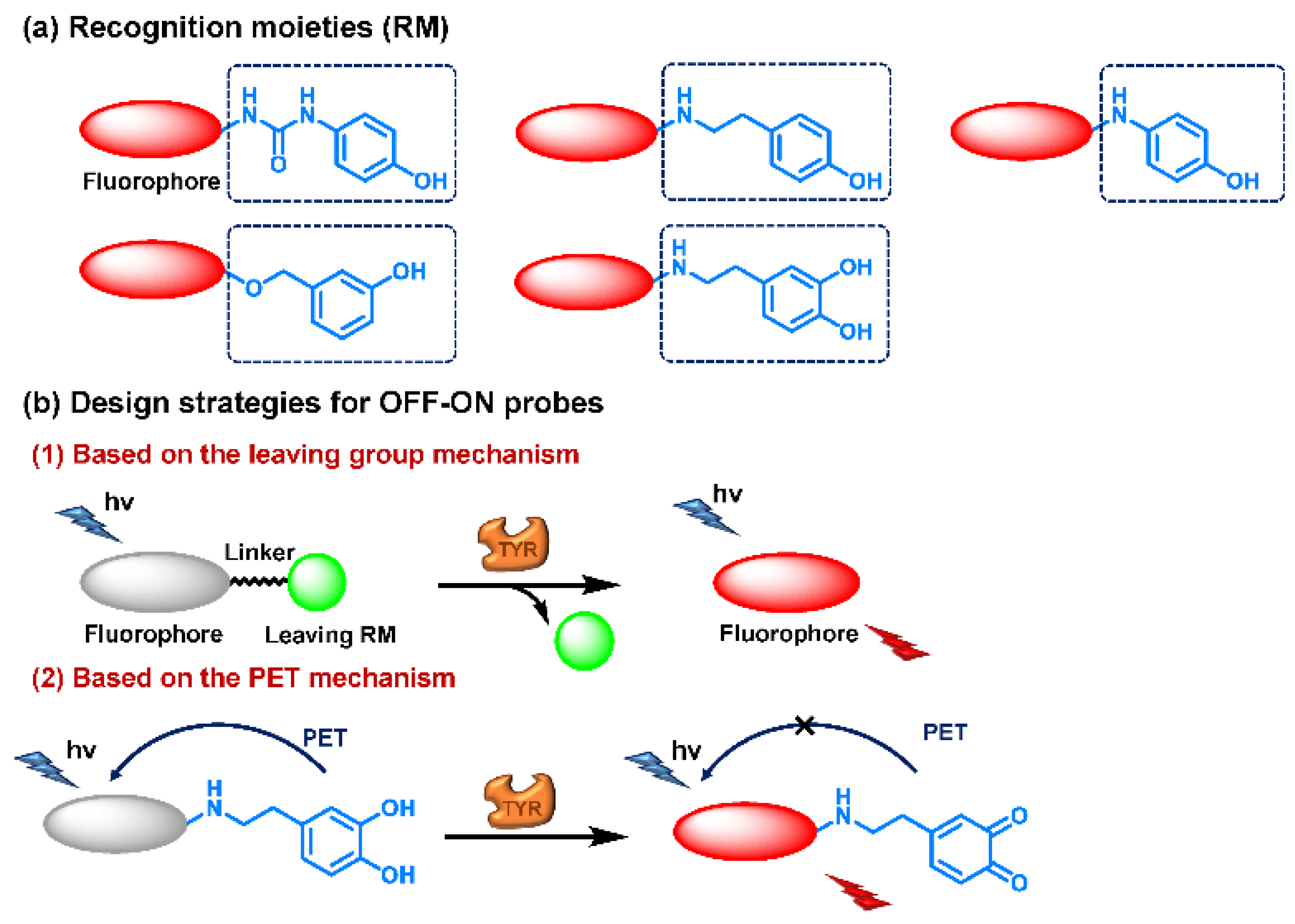 Biosensors 11 00290 g007 Biosensors 11 00290 g007
