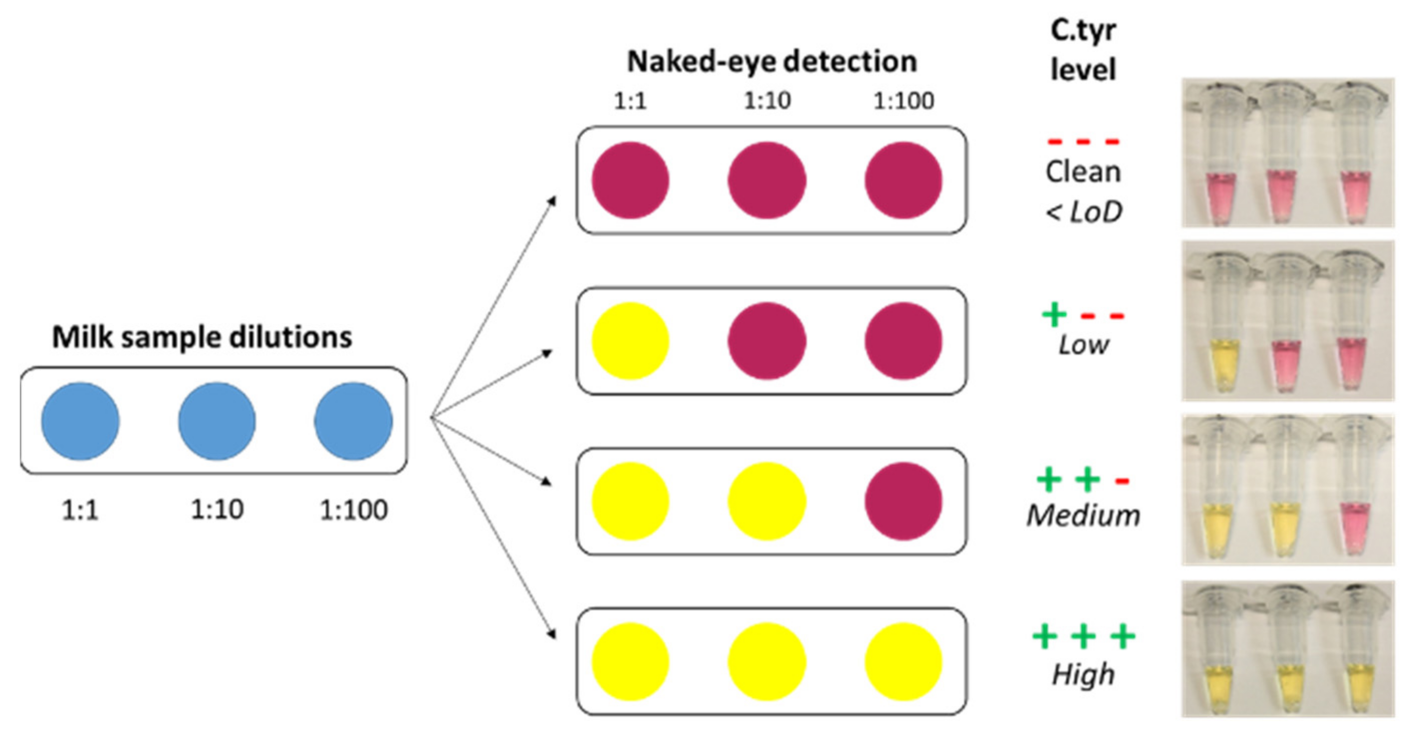 Biosensors 11 00293 g006