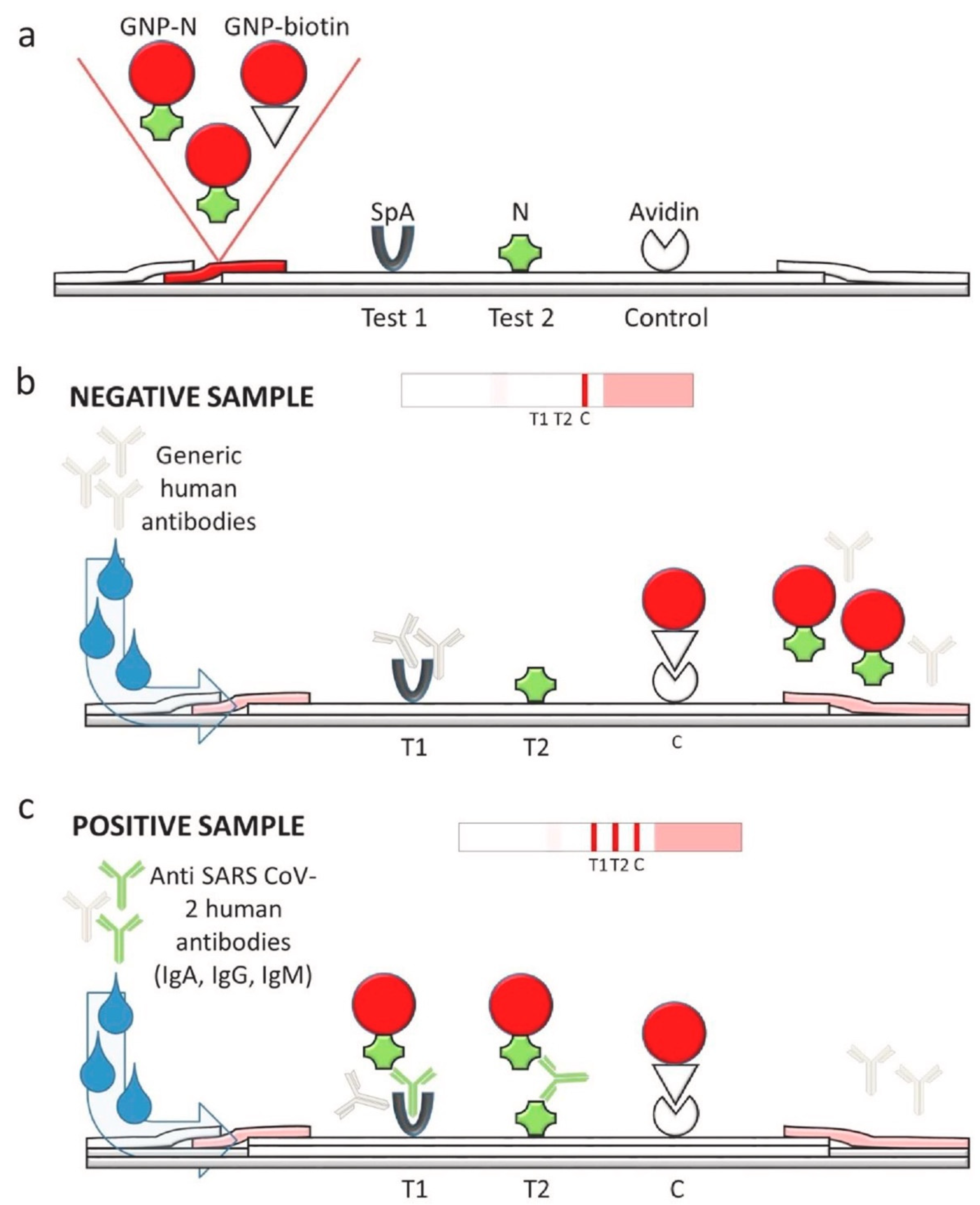 Biosensors 11 00295 g005