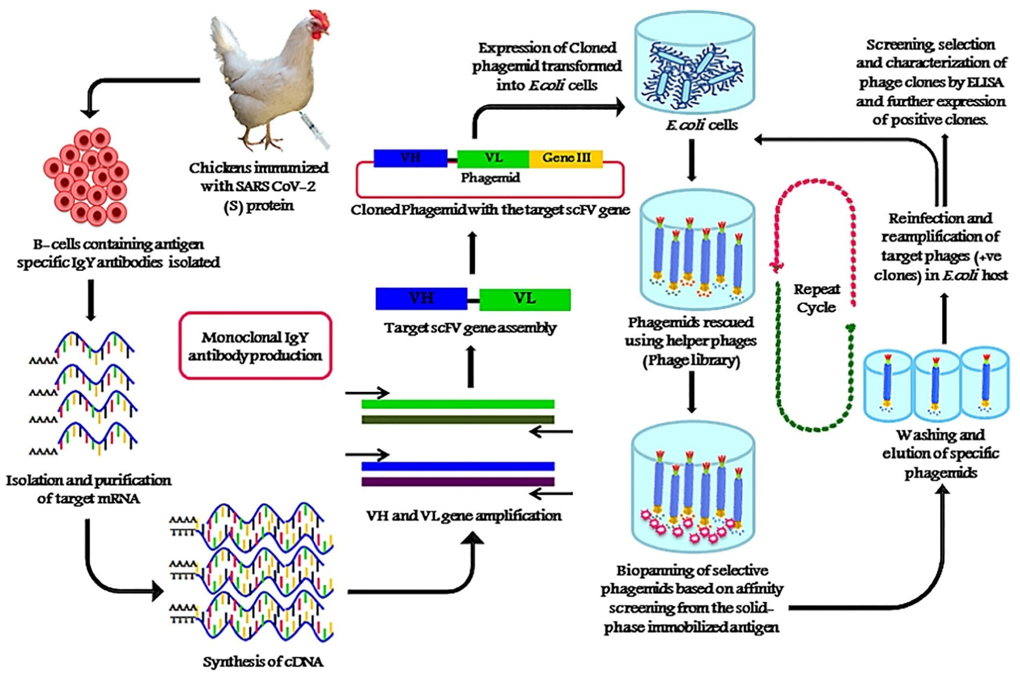 Biosensors 11 00295 g009
