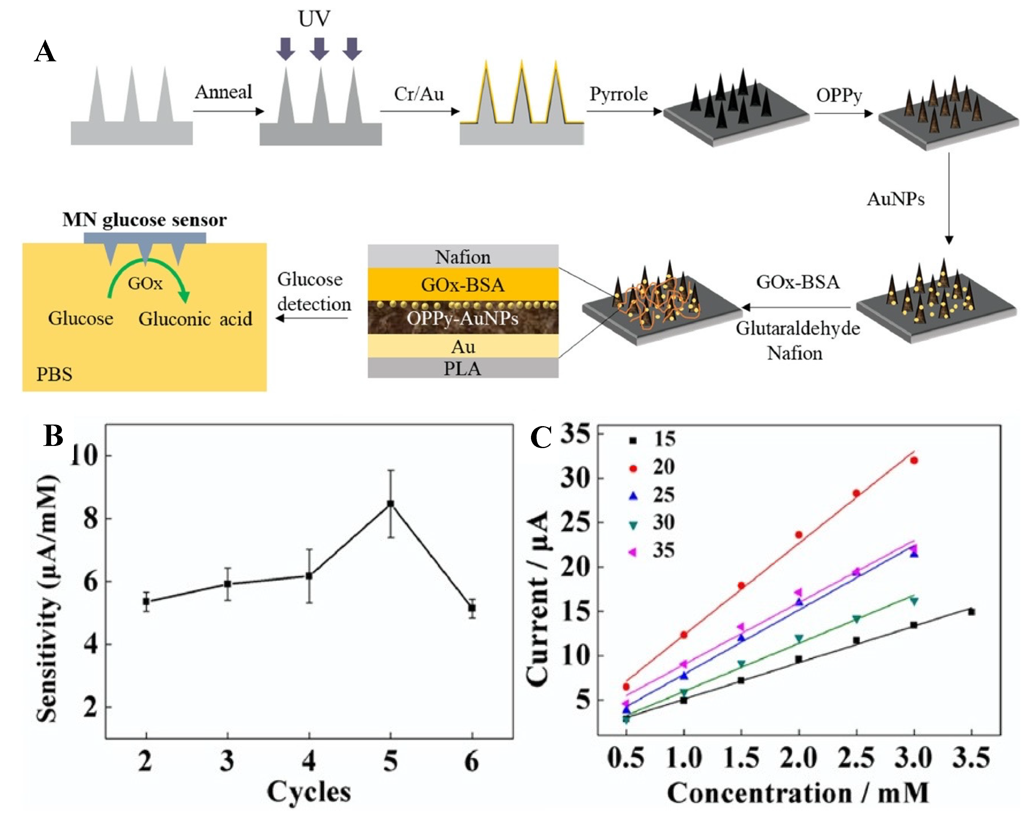 Biosensors 11 00296 g001