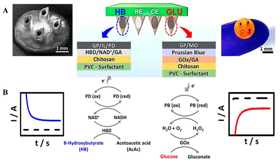 Biosensors 11 00296 g002