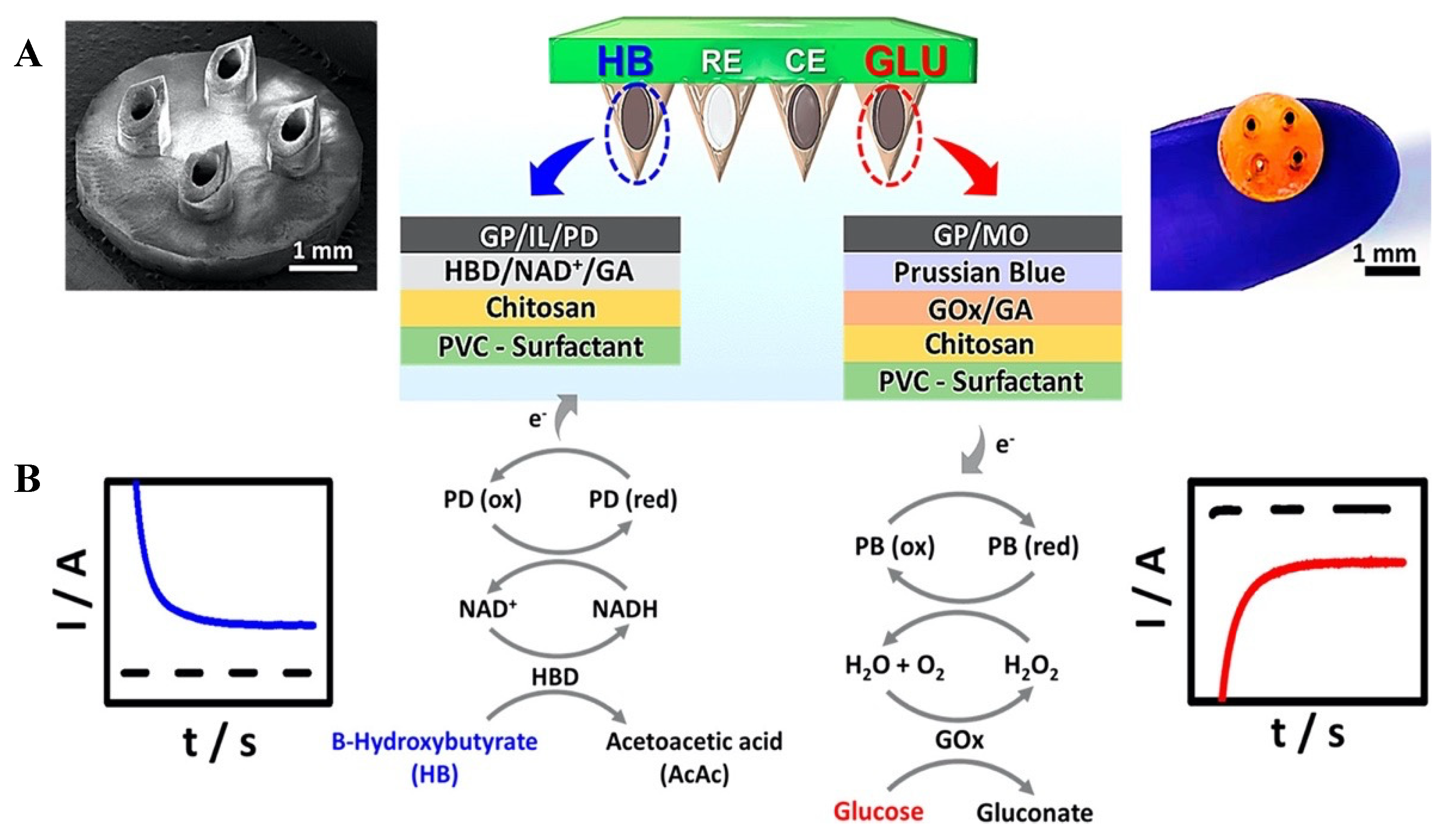 Biosensors 11 00296 g002