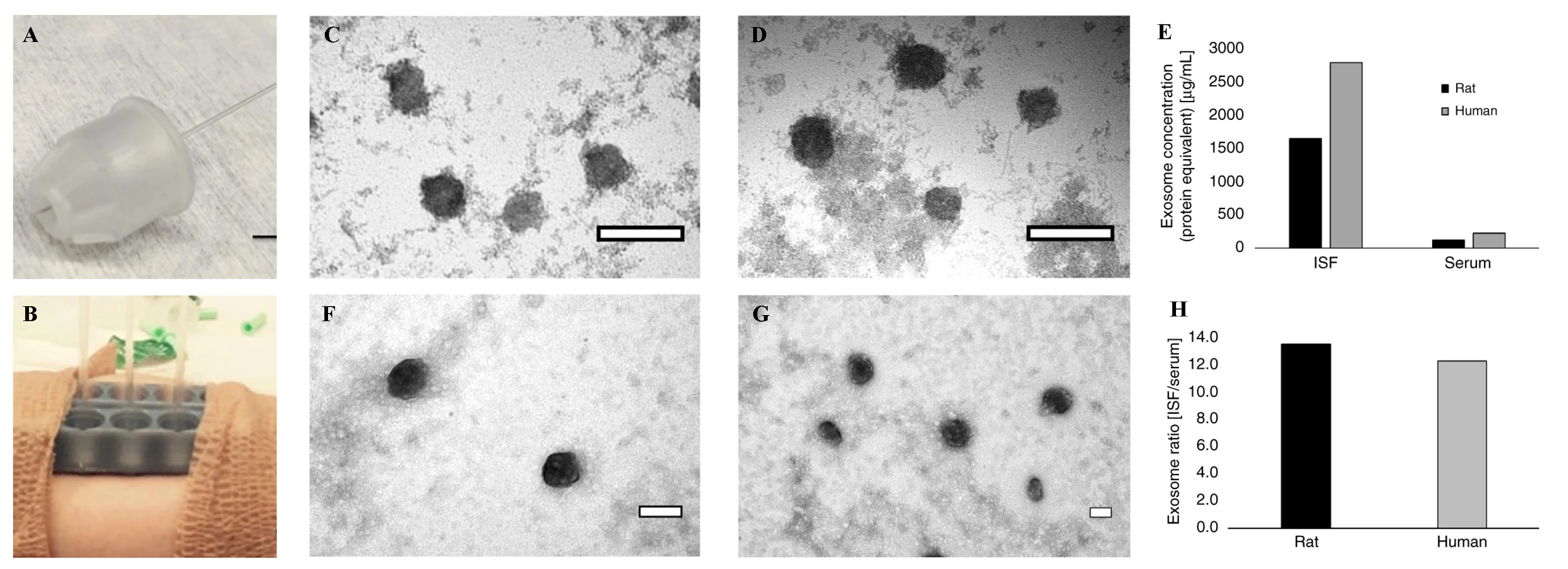 Biosensors 11 00296 g003