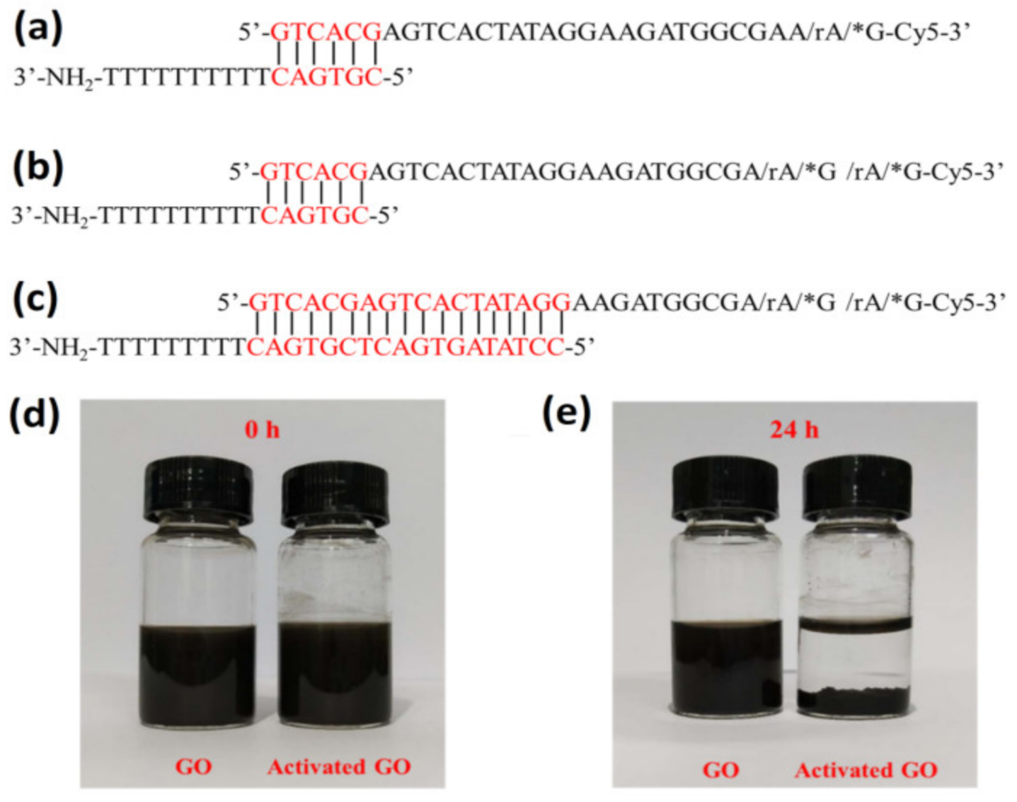 Biosensors 11 00300 g001 Biosensors 11 00300 g001