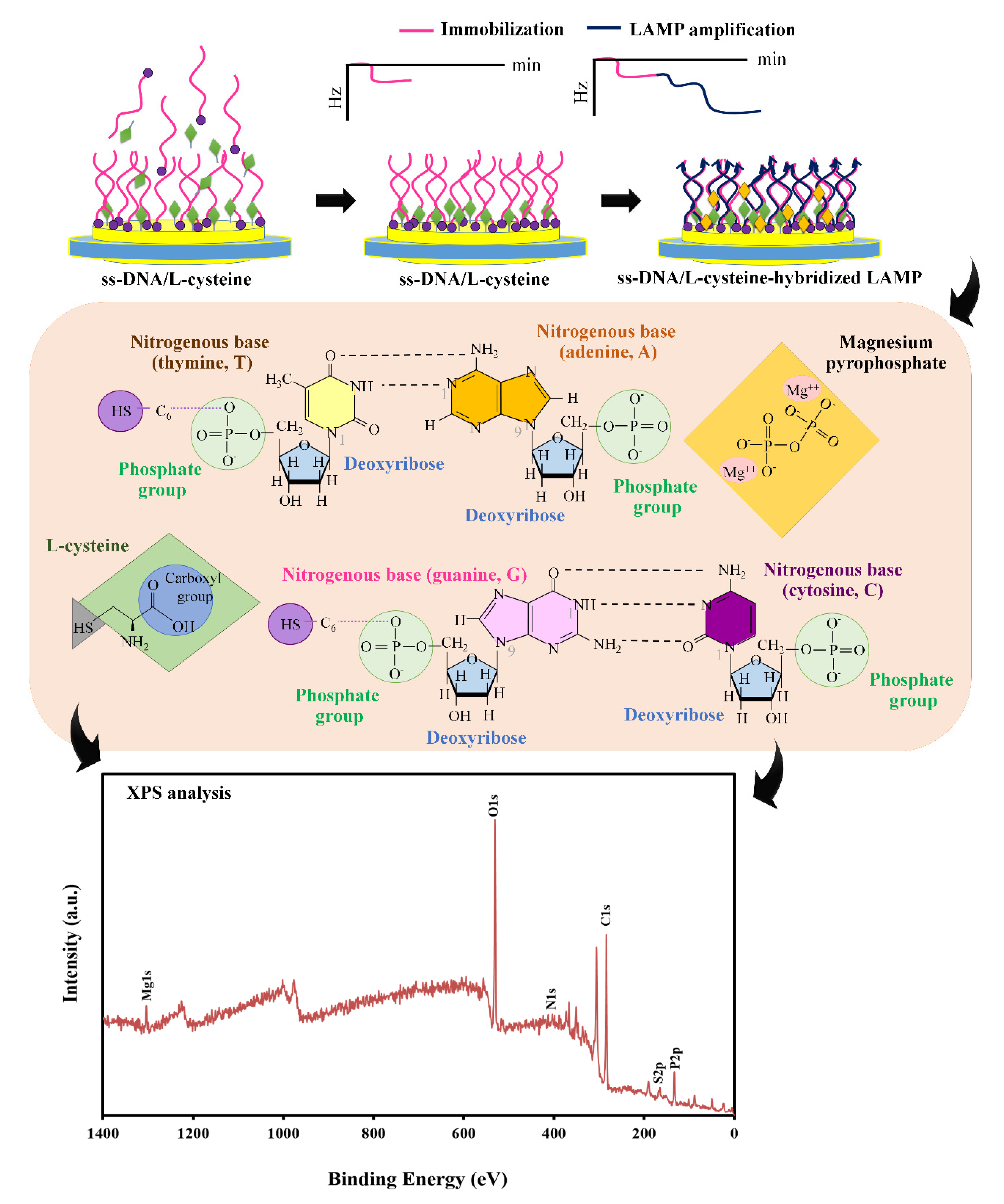 Biosensors 11 00308 sch001