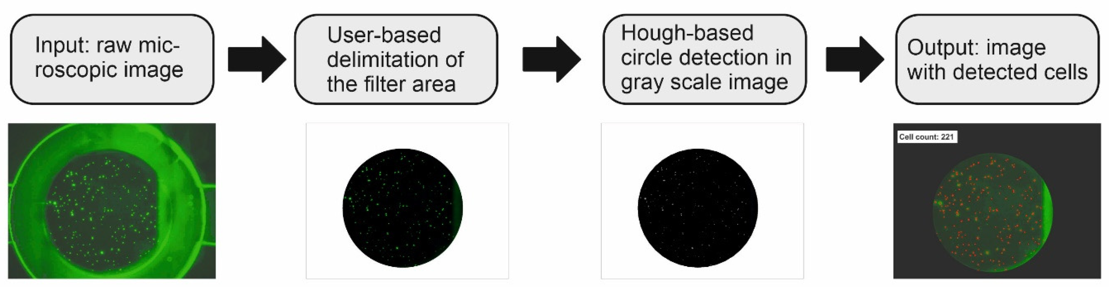 Biosensors 11 00312 g001