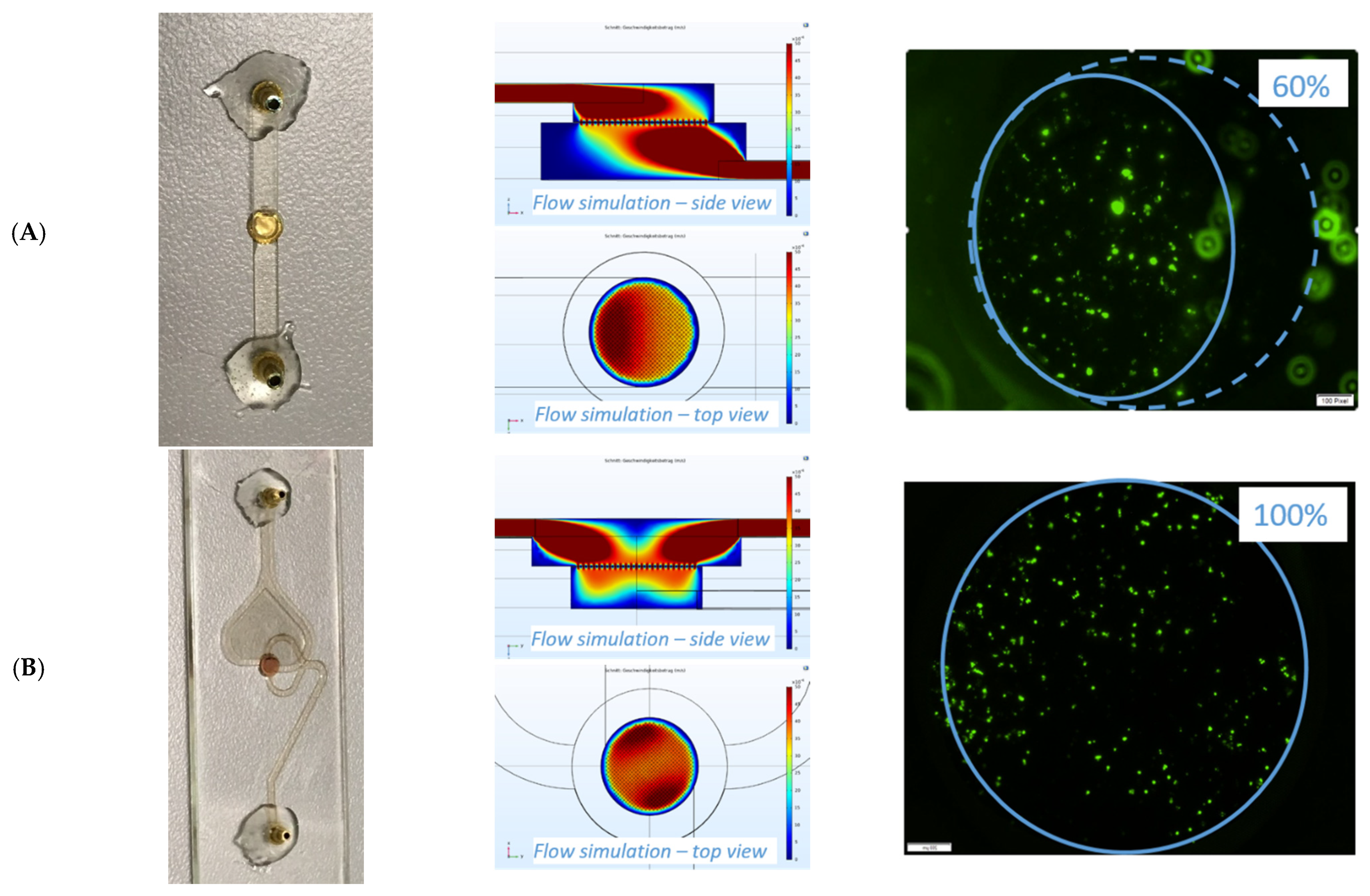 Biosensors 11 00312 g004