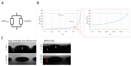 Biosensors 11 00314 g0a3 550