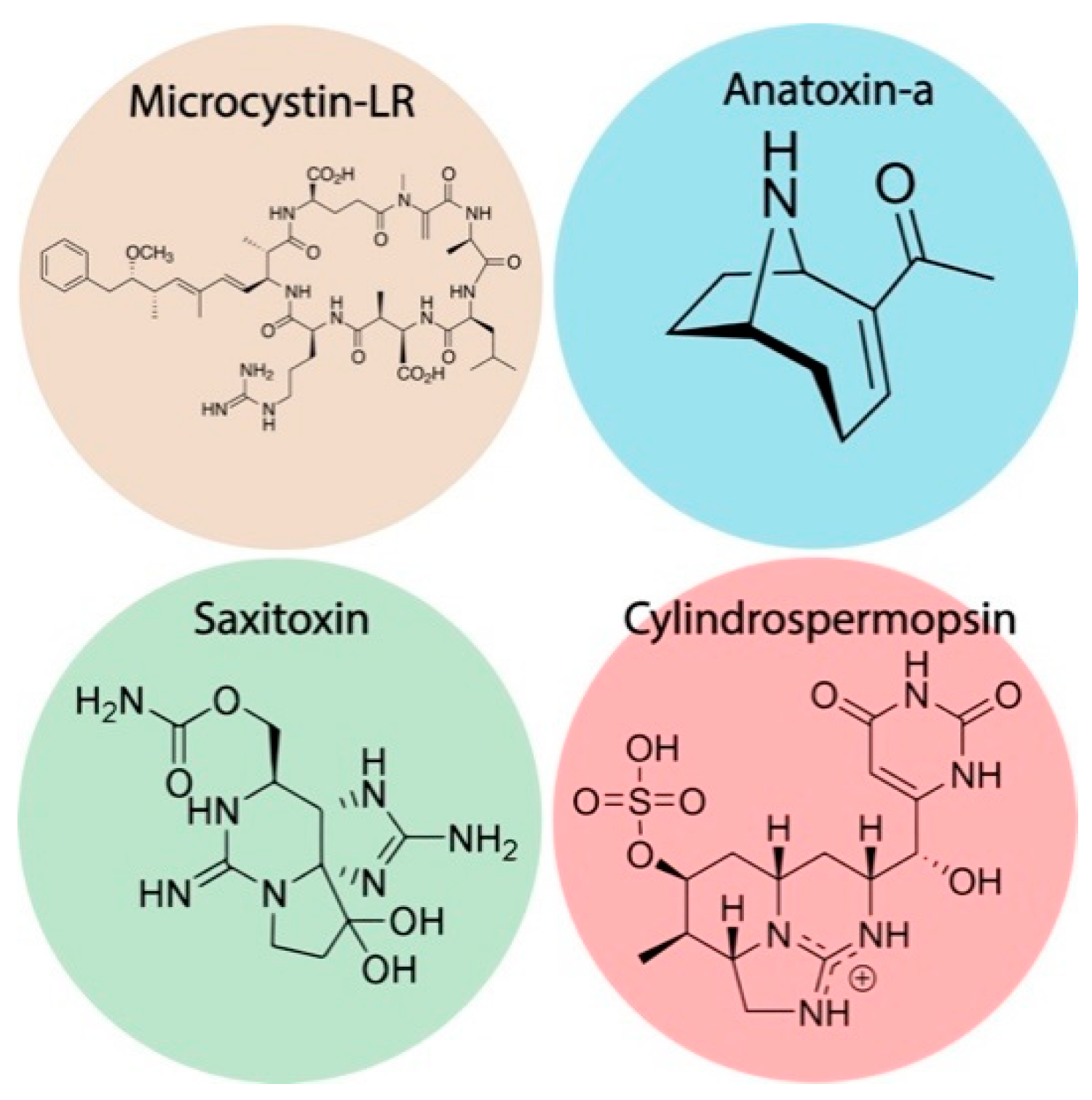 Biosensors 11 00315 g001