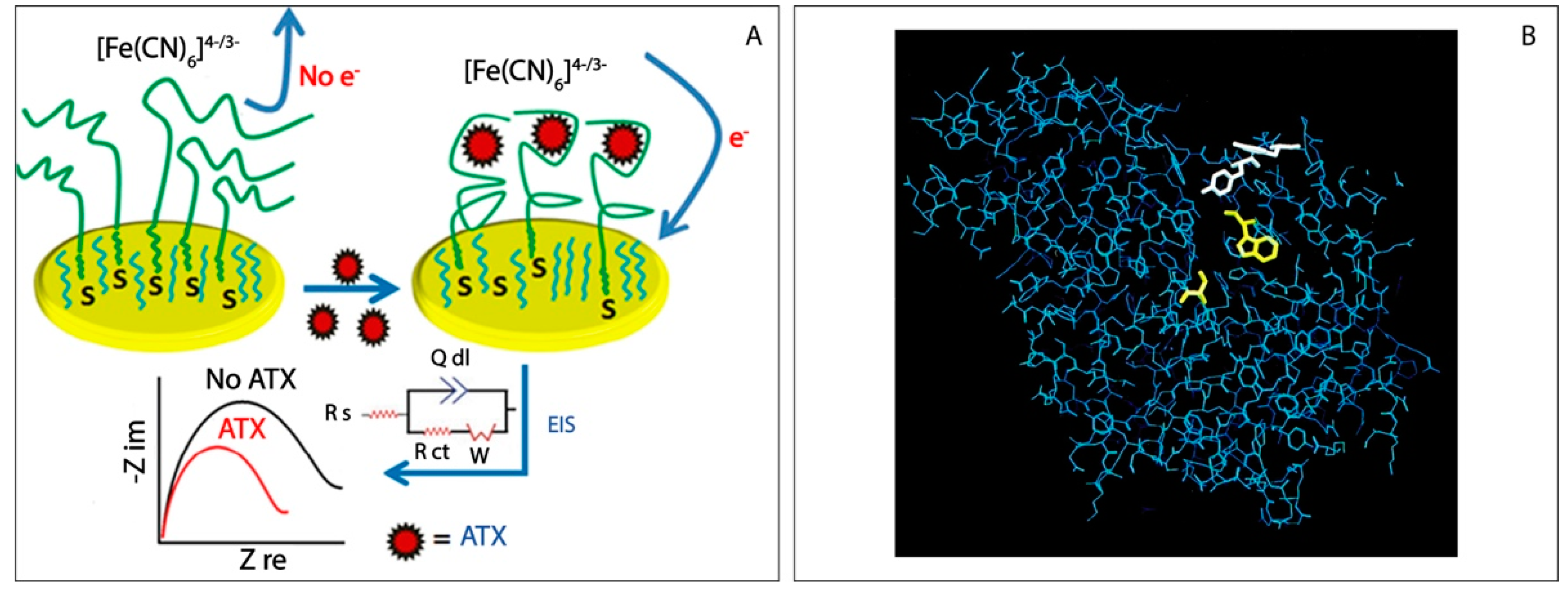 Biosensors 11 00315 g003