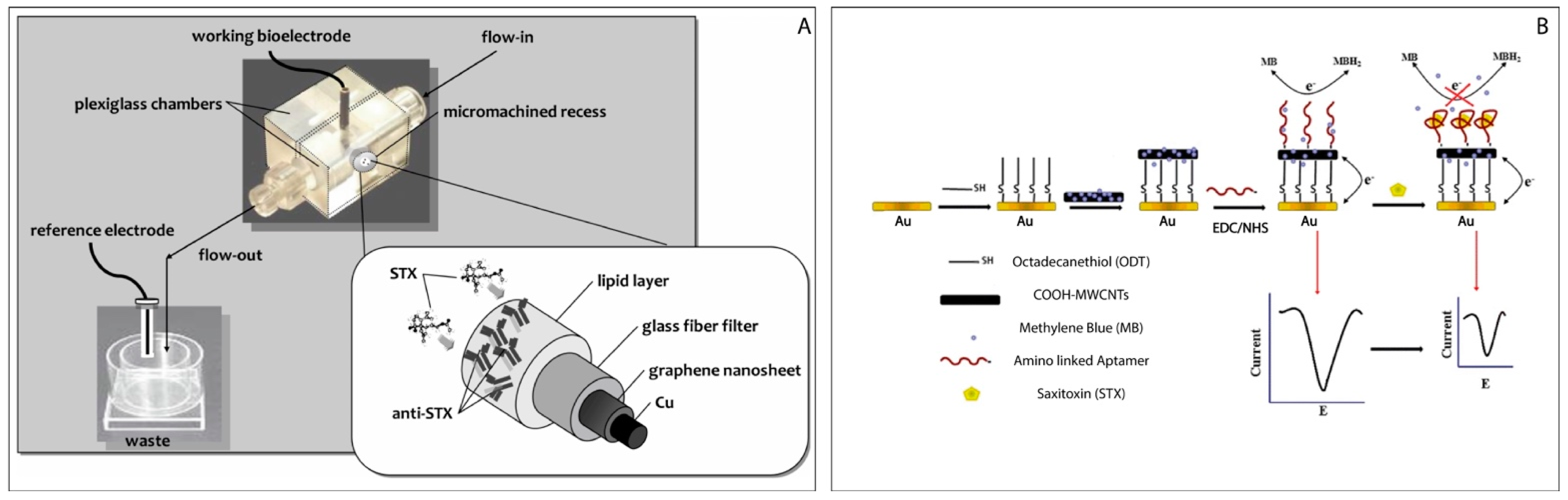 Biosensors 11 00315 g004