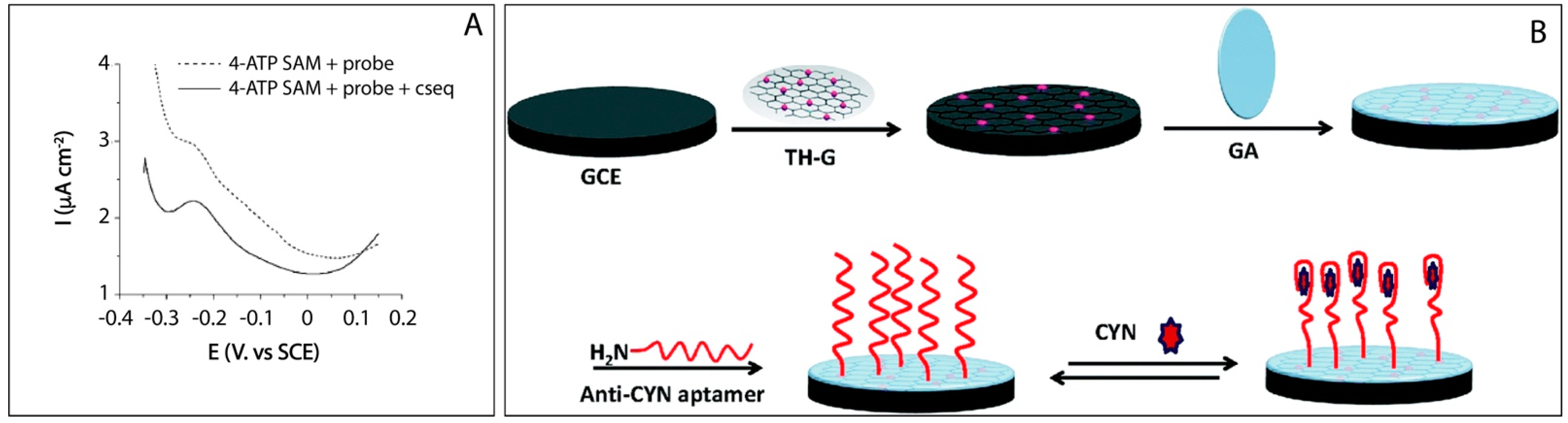 Biosensors 11 00315 g005