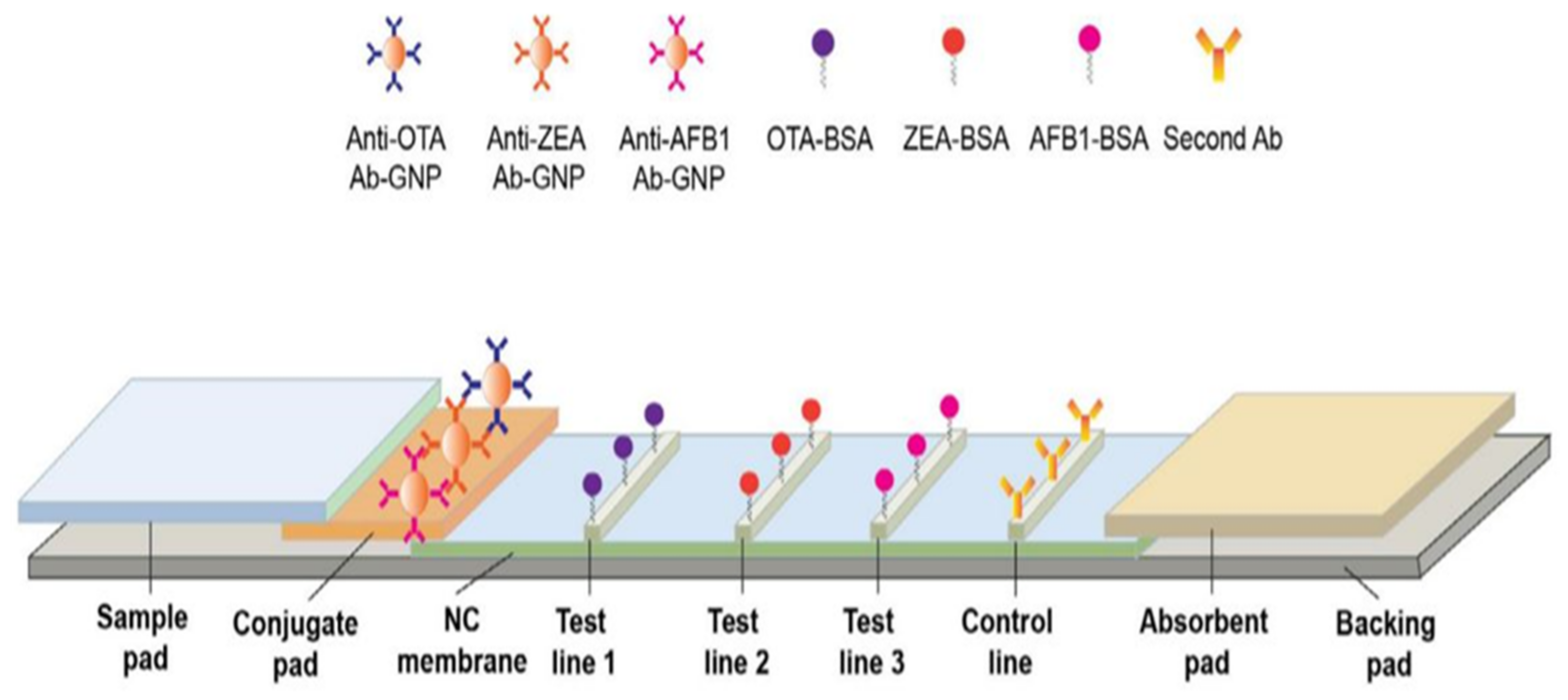 Biosensors 11 00316 g002 Biosensors 11 00316 g002