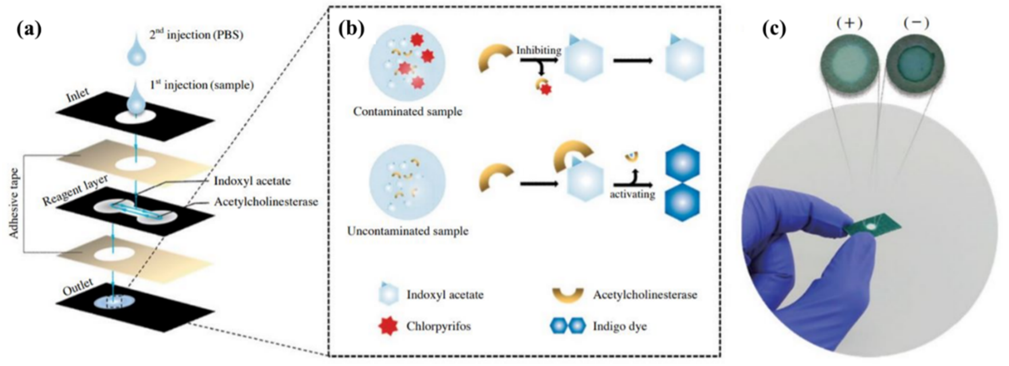 Biosensors 11 00316 g005 Biosensors 11 00316 g005