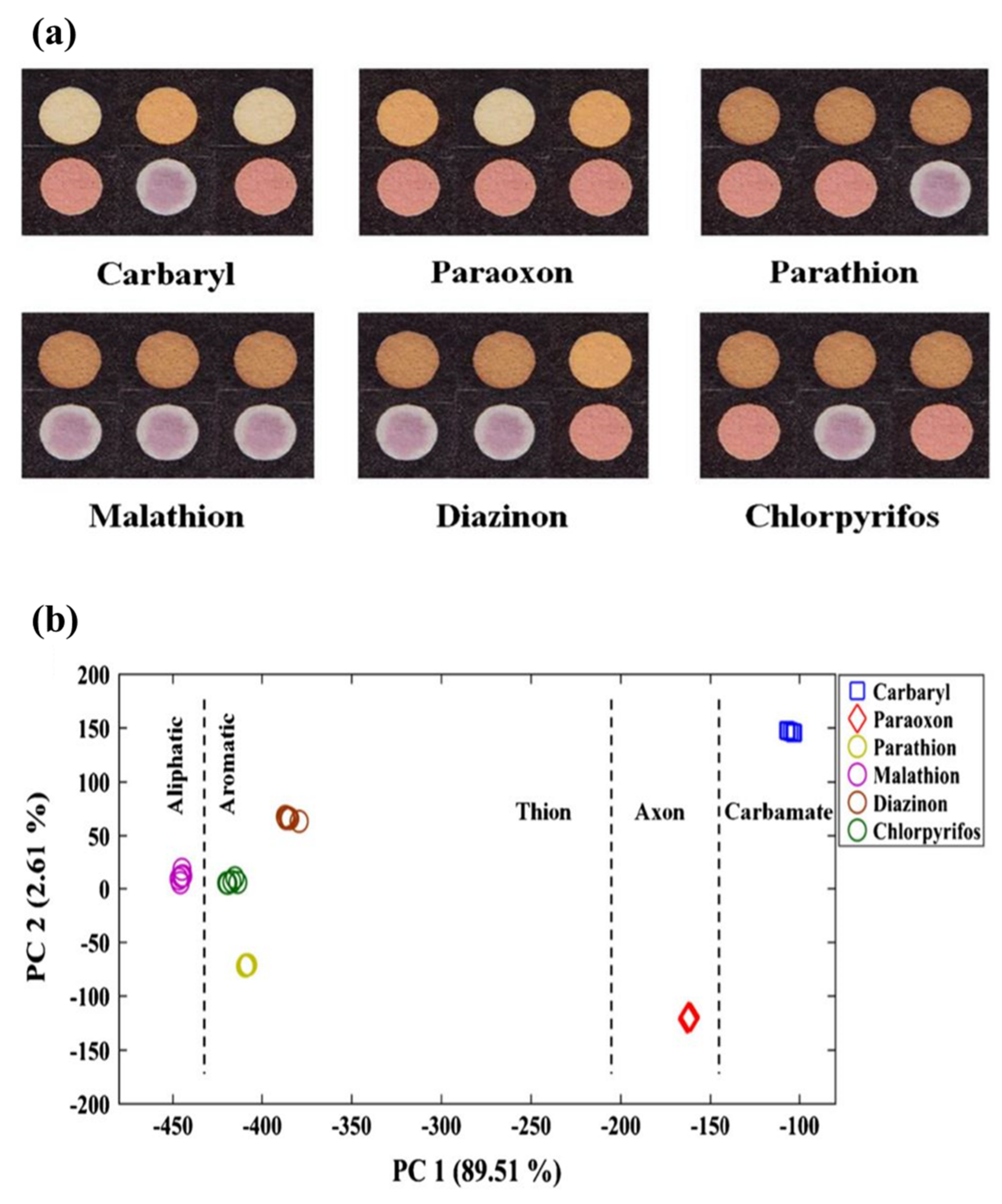 Biosensors 11 00316 g006 Biosensors 11 00316 g006